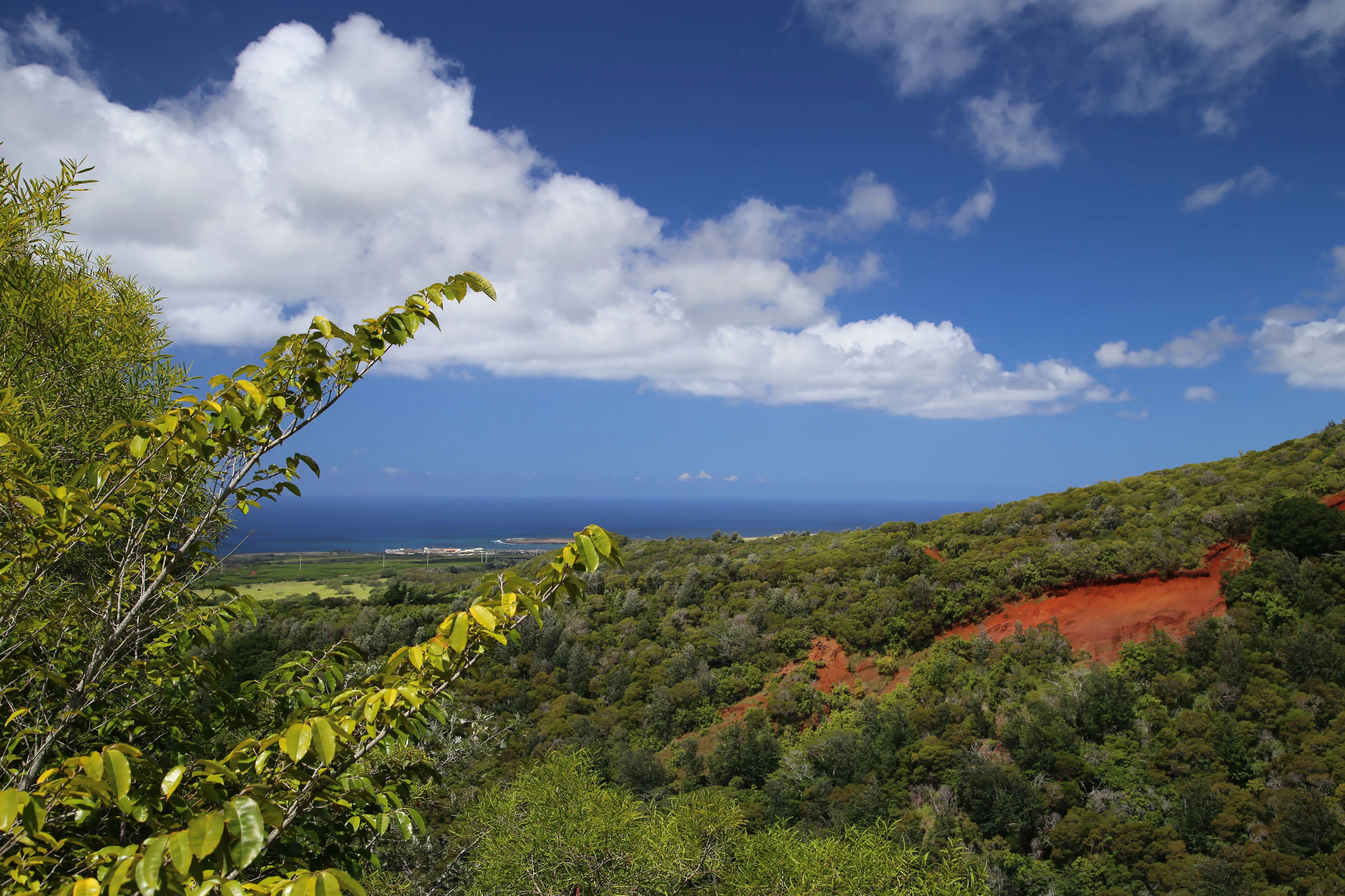 2-2131-Z Kaumualii Highway, Kalaheo, Kauai, Hawaii 96741 - 2-2131-z-kaumualii-highway-kalaheo-hawaii28_wvedod