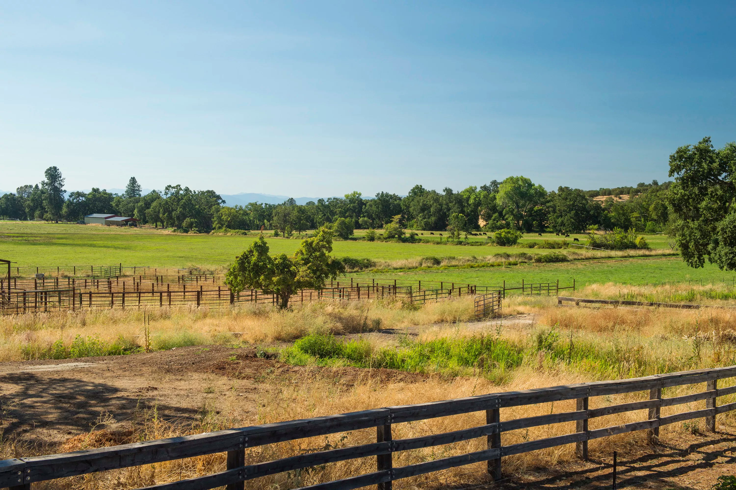 28740 Inwood Road, Inwood Valley, California 96088 - anselmo-vineyards-28740-inwood-road-shingletown-ca-luxury-real-estate-21_ee1dff