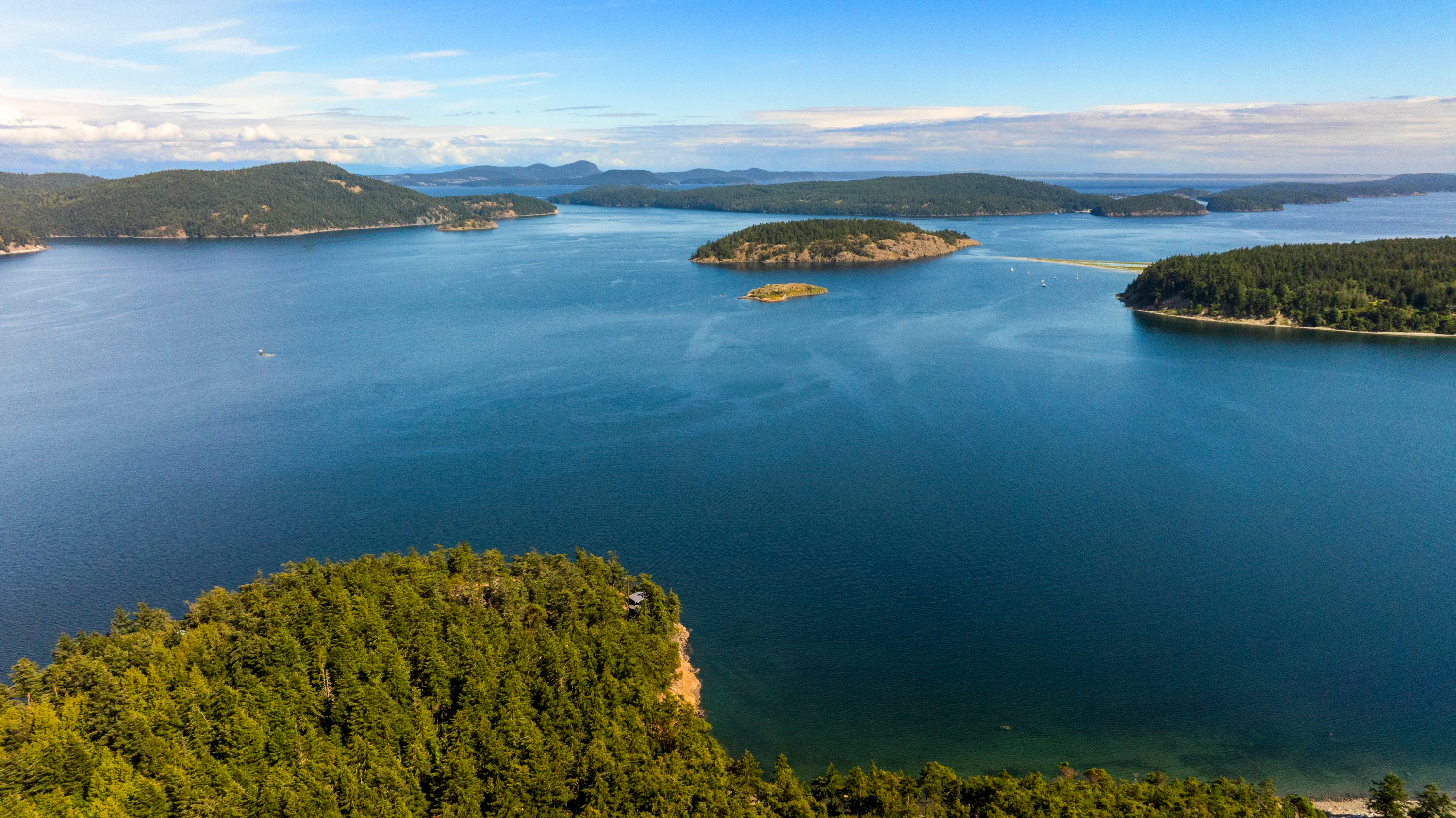 137 Forest Lane, Lopez Island, San Juan Islands, Washington 98261 - 137_Forest_Lane_05_a8xocj