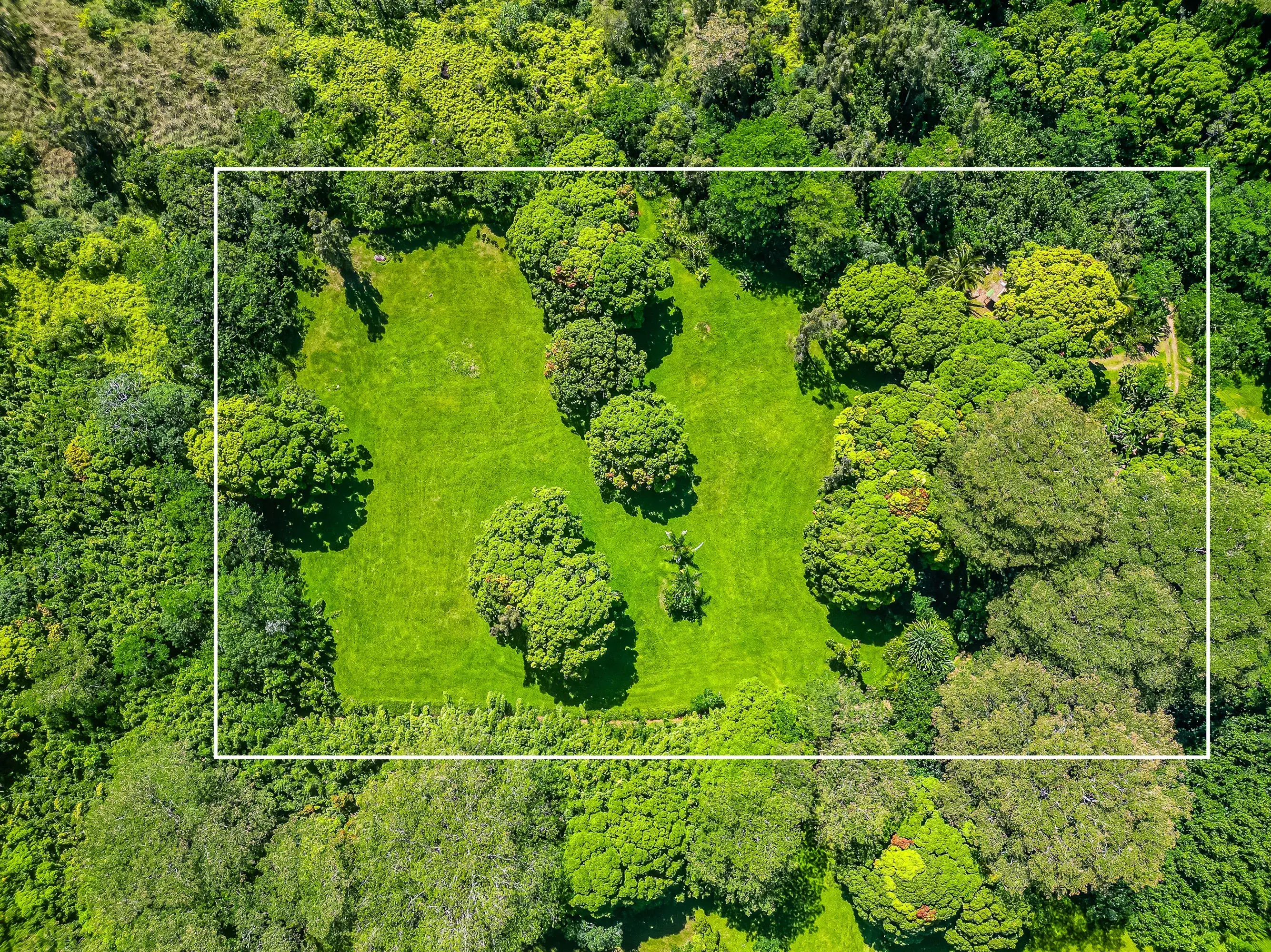 Discover a secluded paradise nestled within the lush Waioli Valley, just five minutes from Hanalei Bay, where nearly 4 acres of untouched land offer a rare opportunity to create a private retreat on Kauai’s North Shore. 