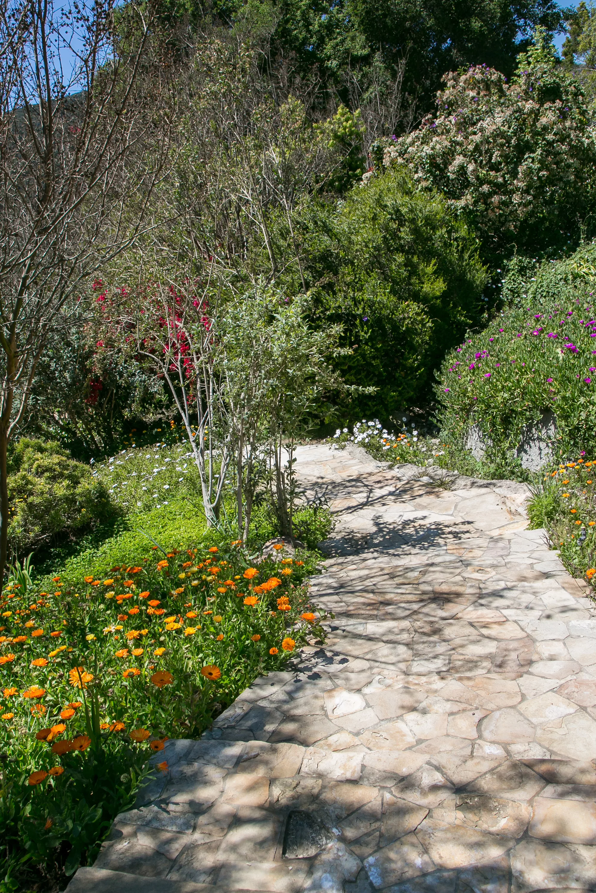 3100 Mandeville Canyon Road, Los Angeles, California 90049 - amber-hills-3100-mandeville-canyon-los-angeles-ca-luxury-real-estate-6_drkofn