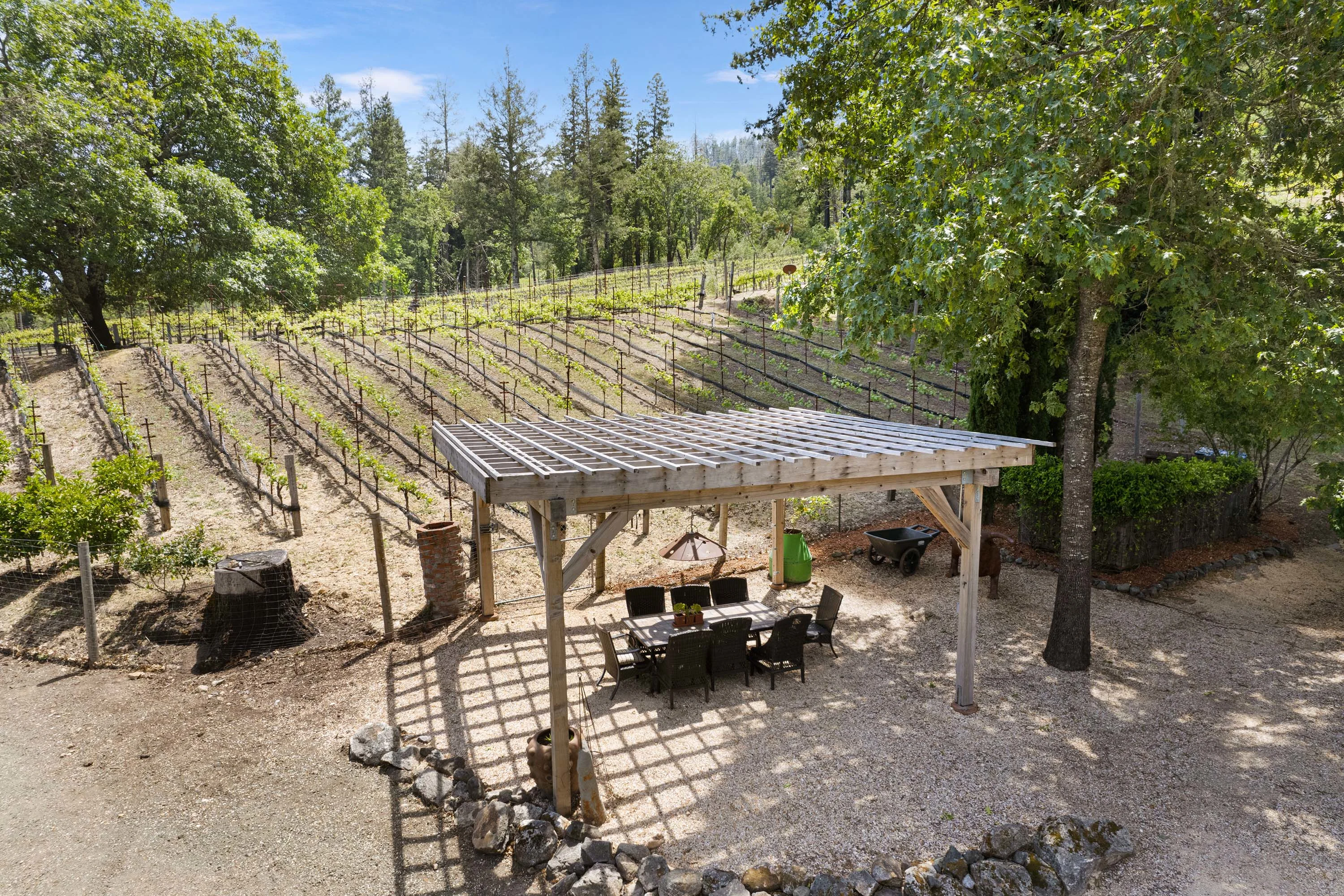 3390 Mount Veeder Road, Mount Veeder, Napa Valley, California 94558 - 29_Mount_Veeder_e0nlut