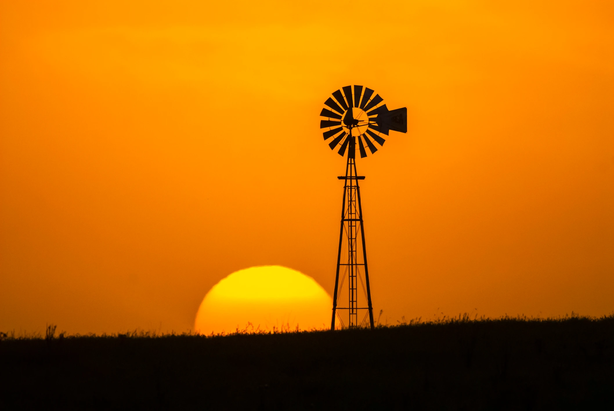 Texas Summer Season Sale 