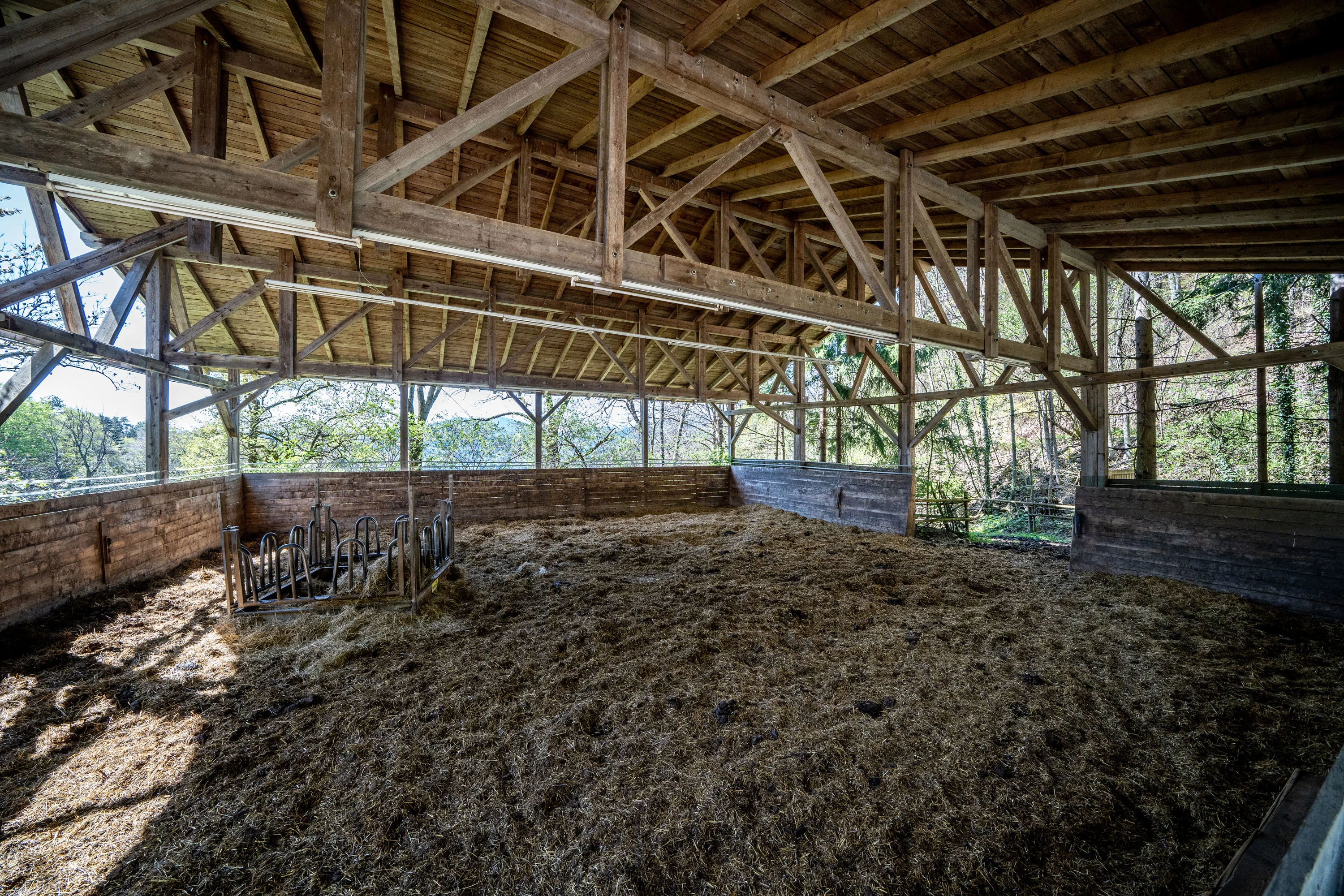 Luxury Sporting Estate, Near Vienna, Near Vienna 0000, Austria - sporting-estate-schneeberg-austria41_ktqfrx