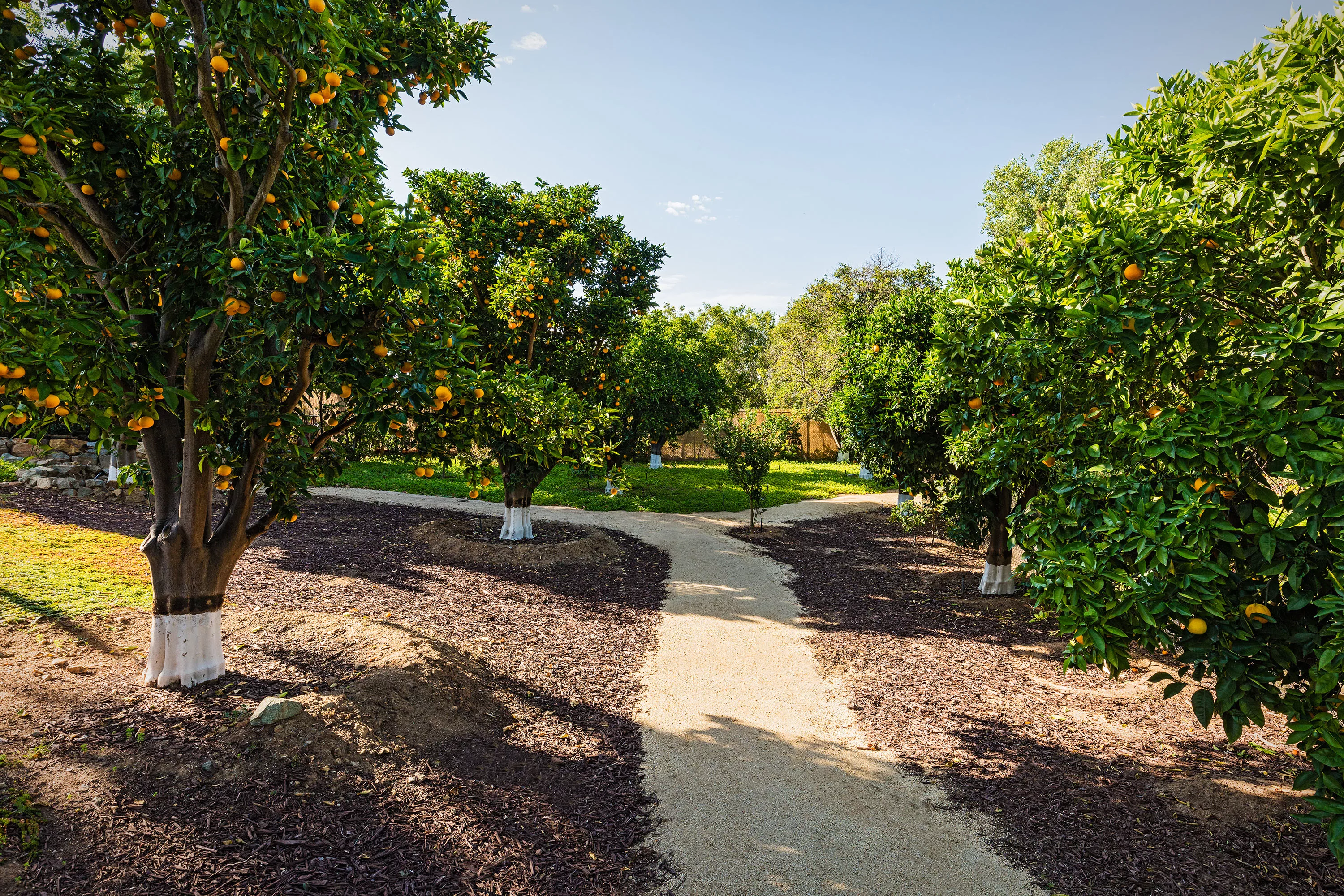 18127 Via Roswitha, Rancho Santa Fe, California 92067 - 20160628-ah-18127-vr-0006-08-03-47-4747_y6q8ry