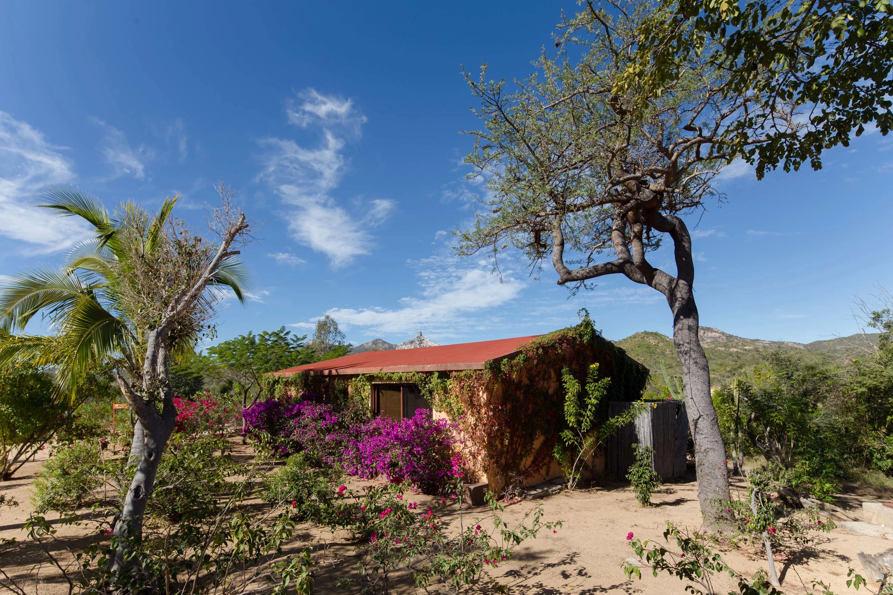 Rancho Espiritu, Los Cabos, Baja California Sur , Mexico - rancho-espiritu-los-cabos-mexico36_lvamiy