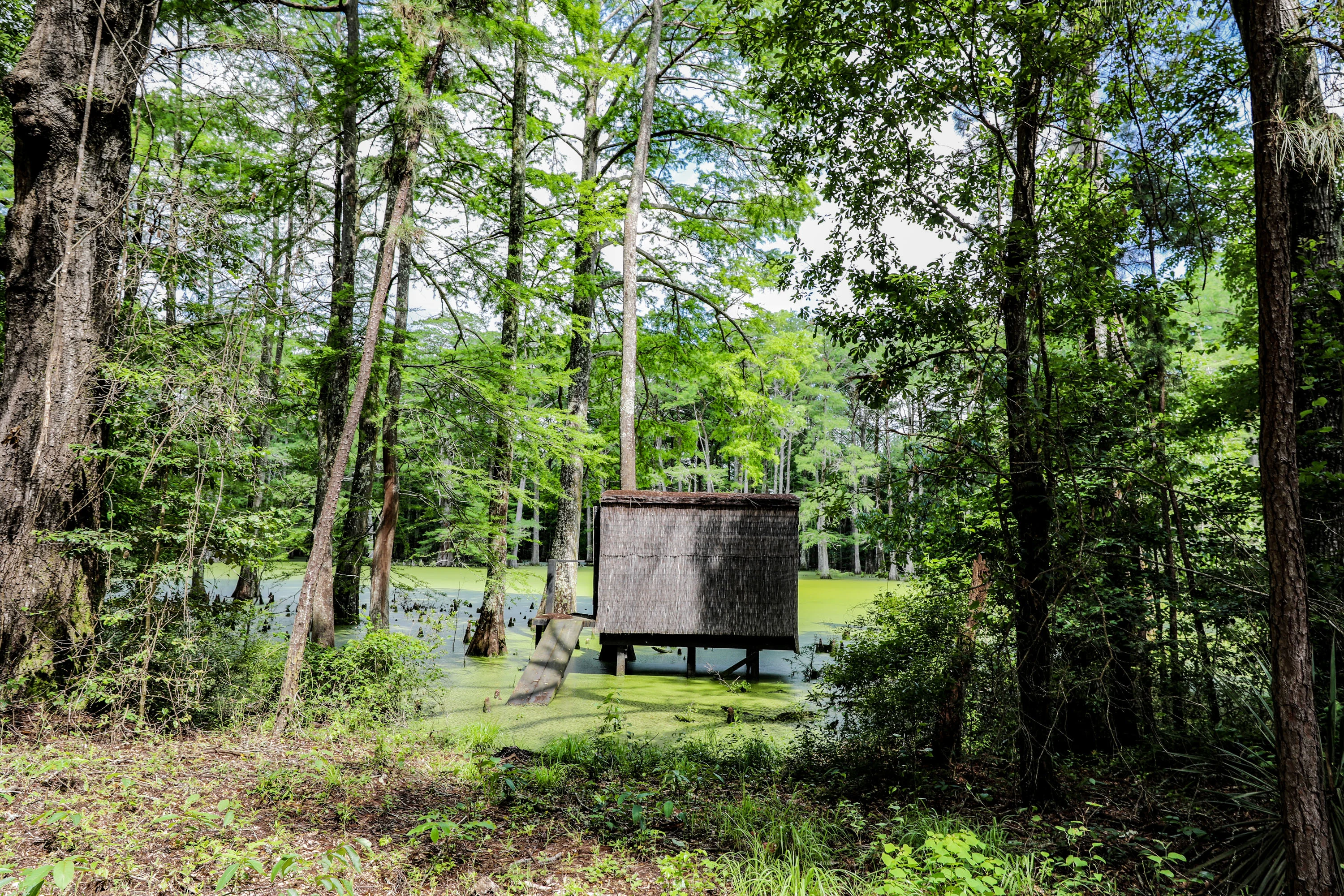 Nix Lower Bayou, East Texas, Texas 75657 - 601-fm-134-jefferson-texas19_m4m2eu
