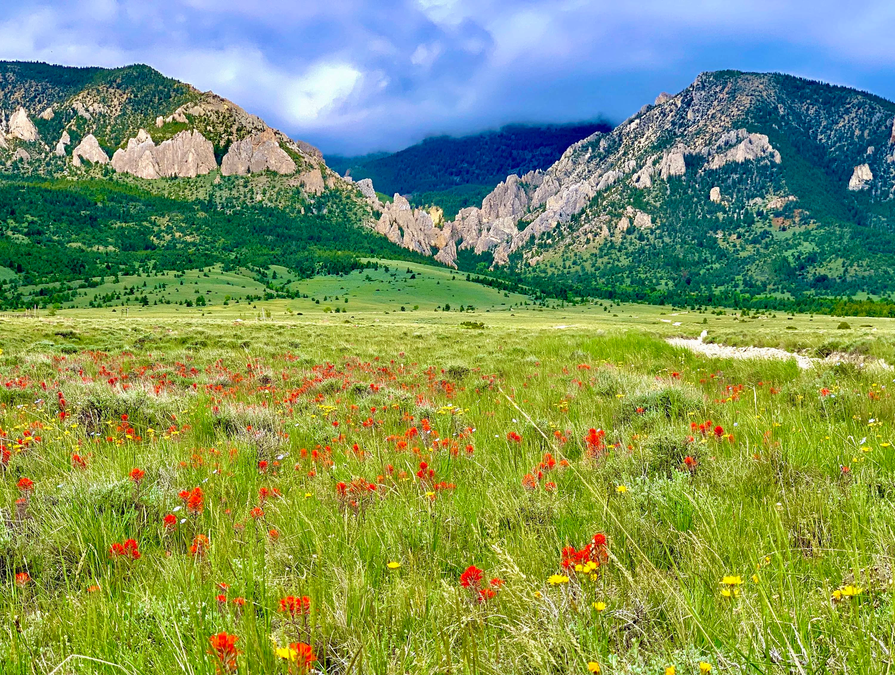 47 Horny Toad Trail South, Belfry, Billings Area, Montana 59008 - 2_-_5B_o3v6cm