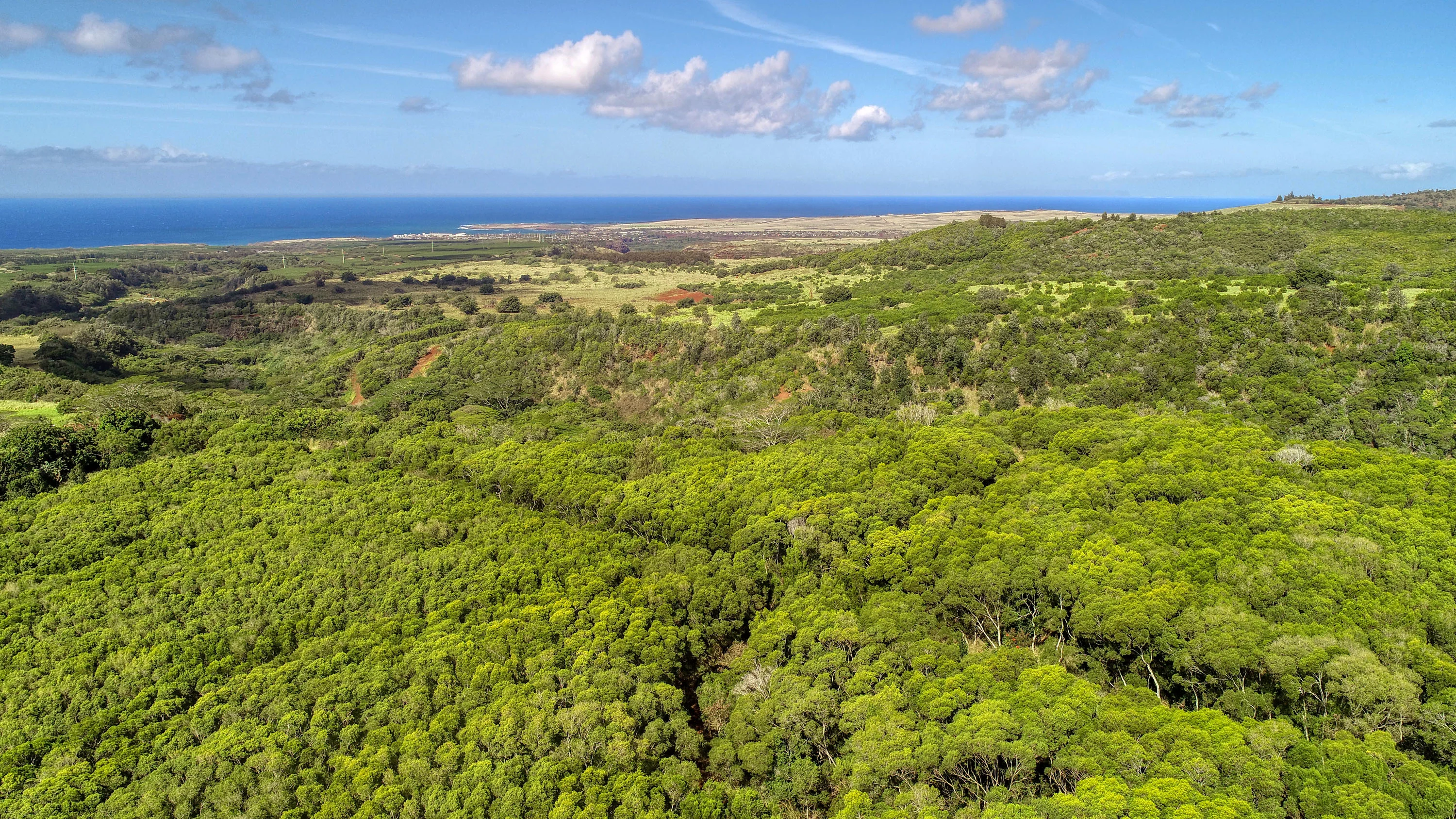 2-2131-Z Kaumualii Highway, Kalaheo, Kauai, Hawaii 96741 - 2-2131-z-kaumualii-highway-kalaheo-hawaii15_paokfd