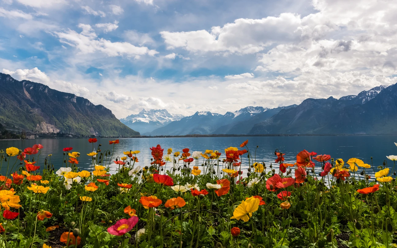 Geneva Switzerland iStock-623772136