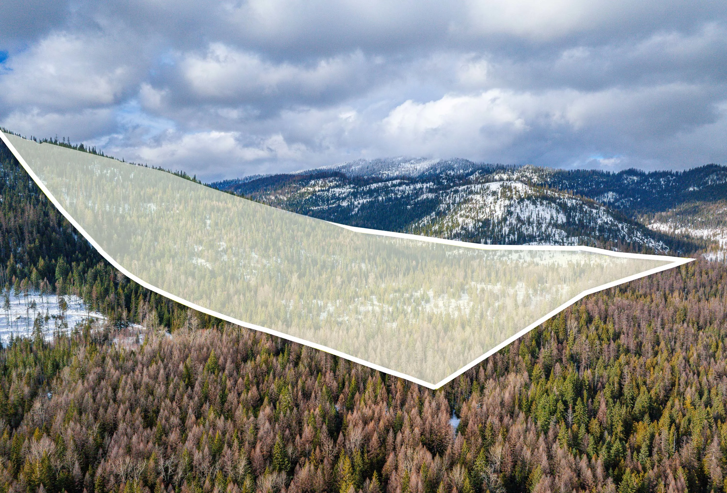 NHN Kelly Mountain Road, Columbia Falls, Near Glacier National Park, Montana  - 1_-_Final-1_property_outline_copy_rxn4jy