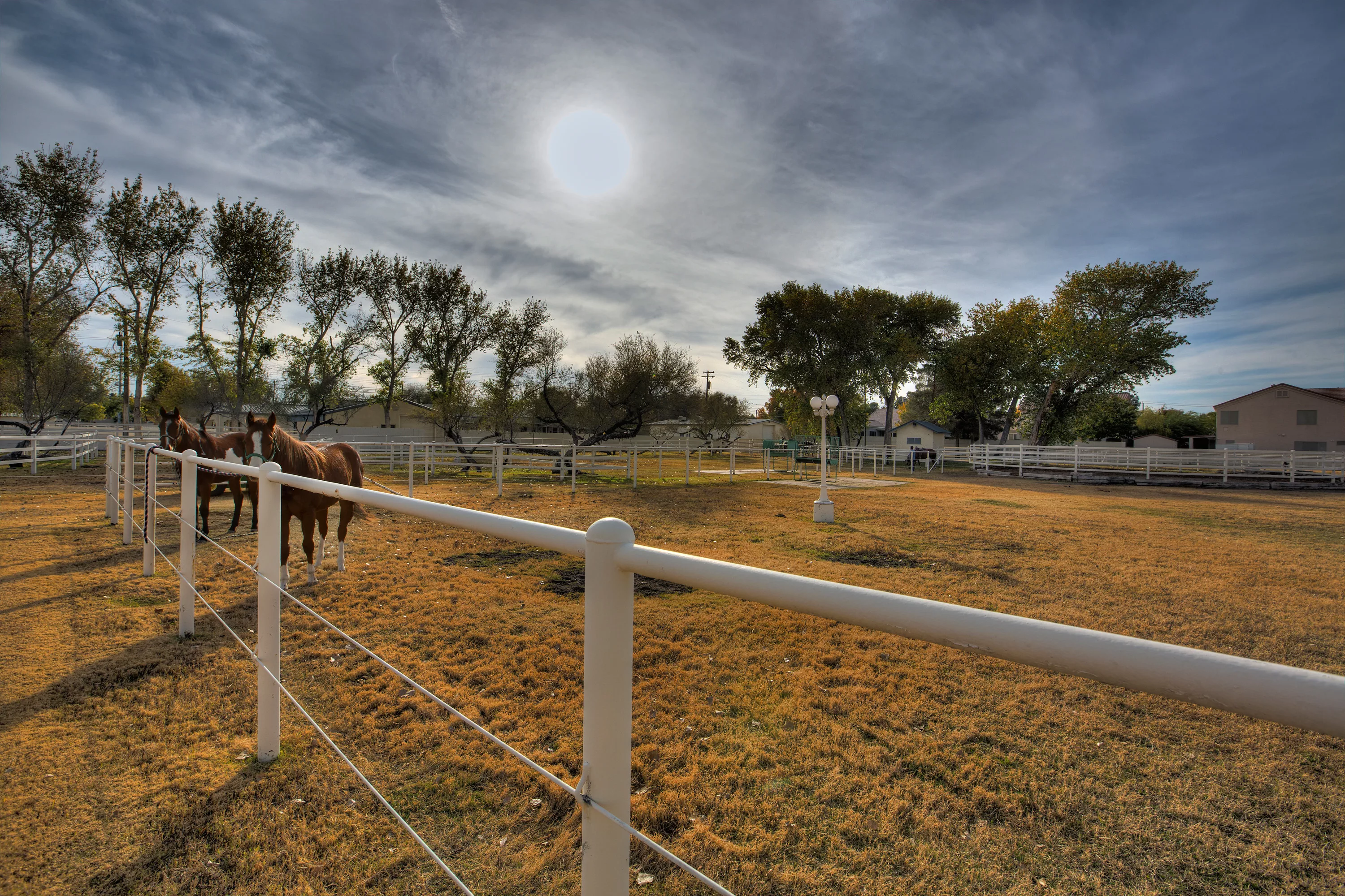 3910 E Russell Rd, Las Vegas, Nevada 89120 - 3910_e_russell_rd_las_vegas_nv-16_mve8me