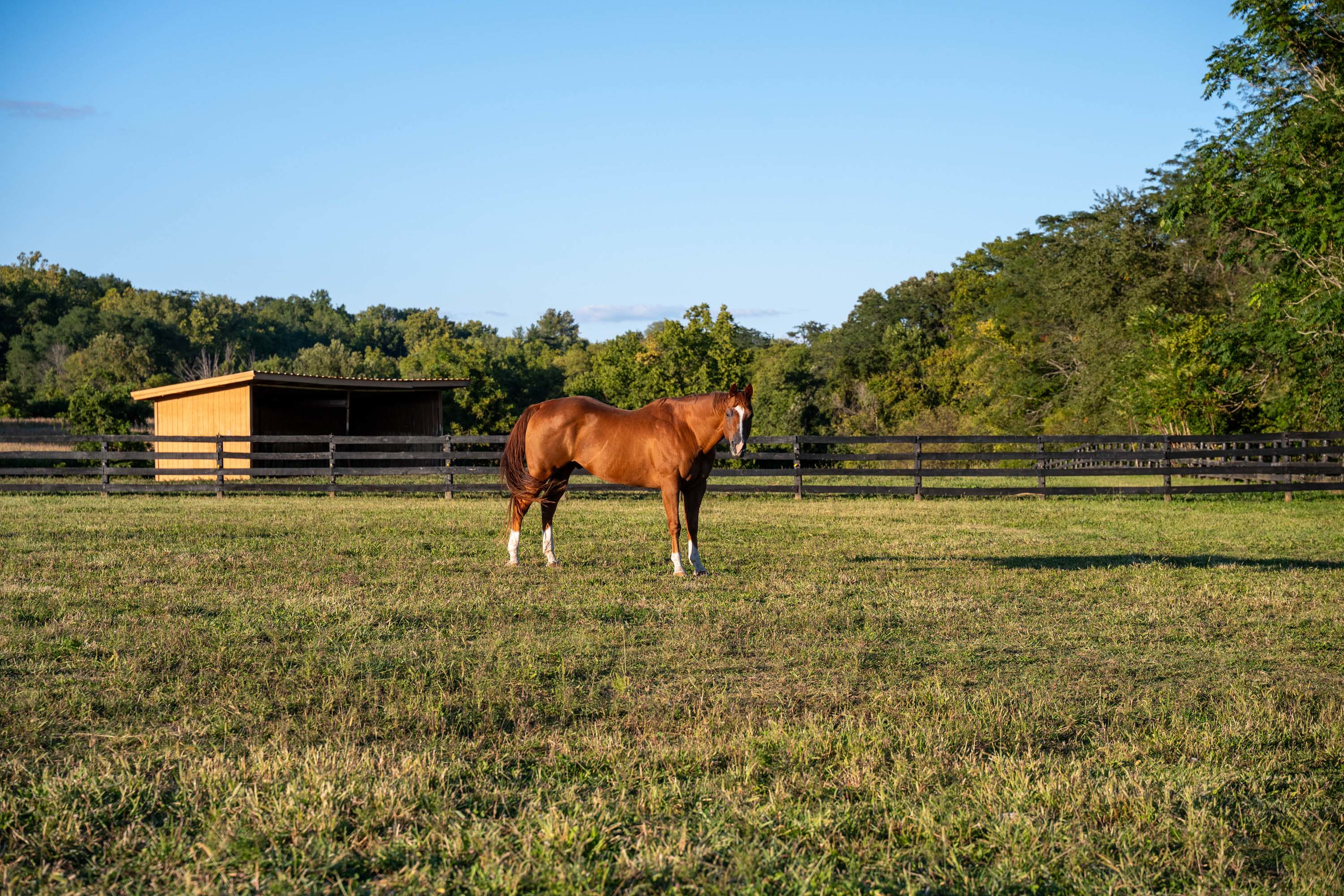 57 7902 Route 42 - Luxury Real Estate - Concierge Auctions