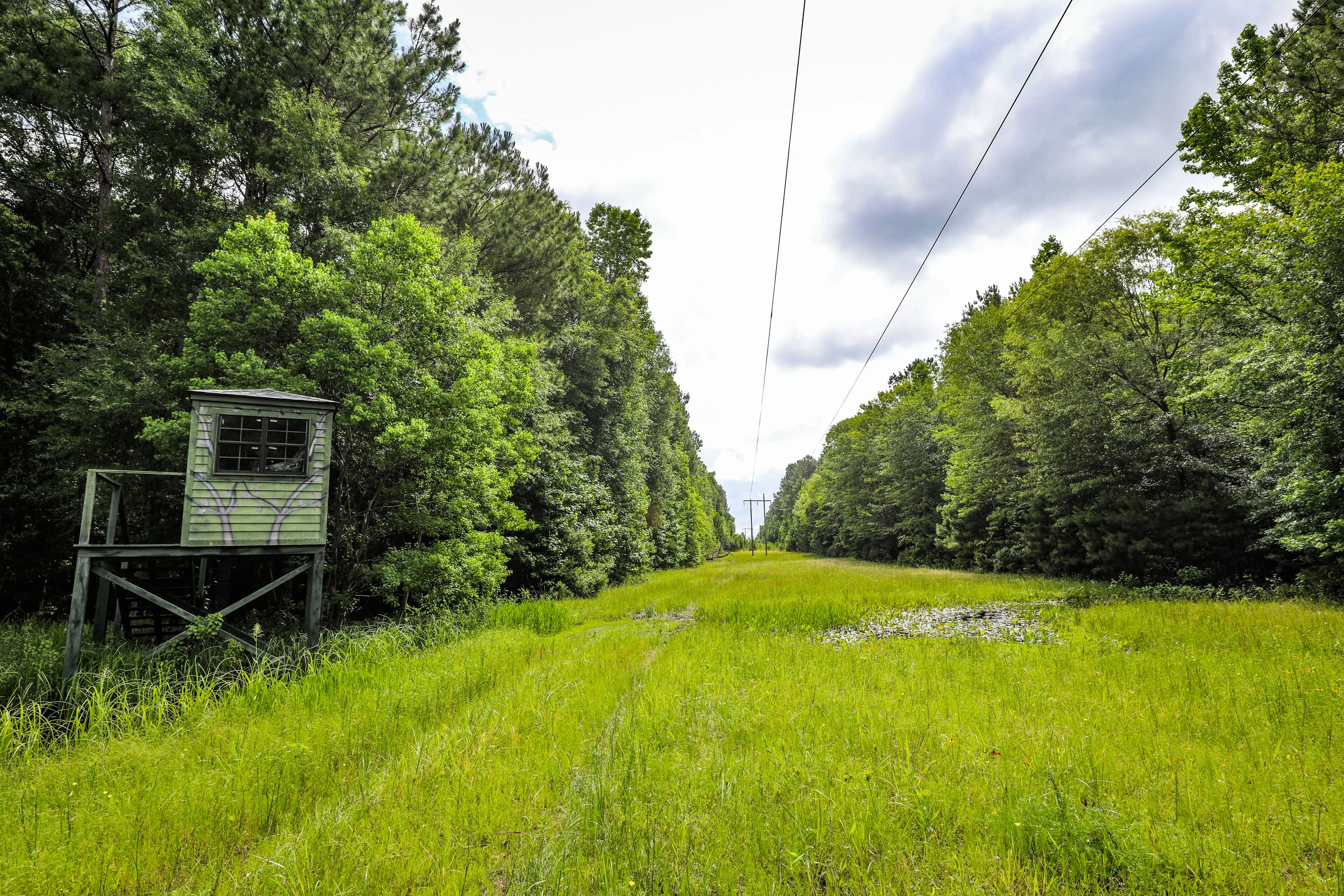 Nix Lower Bayou, East Texas, Texas 75657 - 601-fm-134-jefferson-texas15_hlxkmw