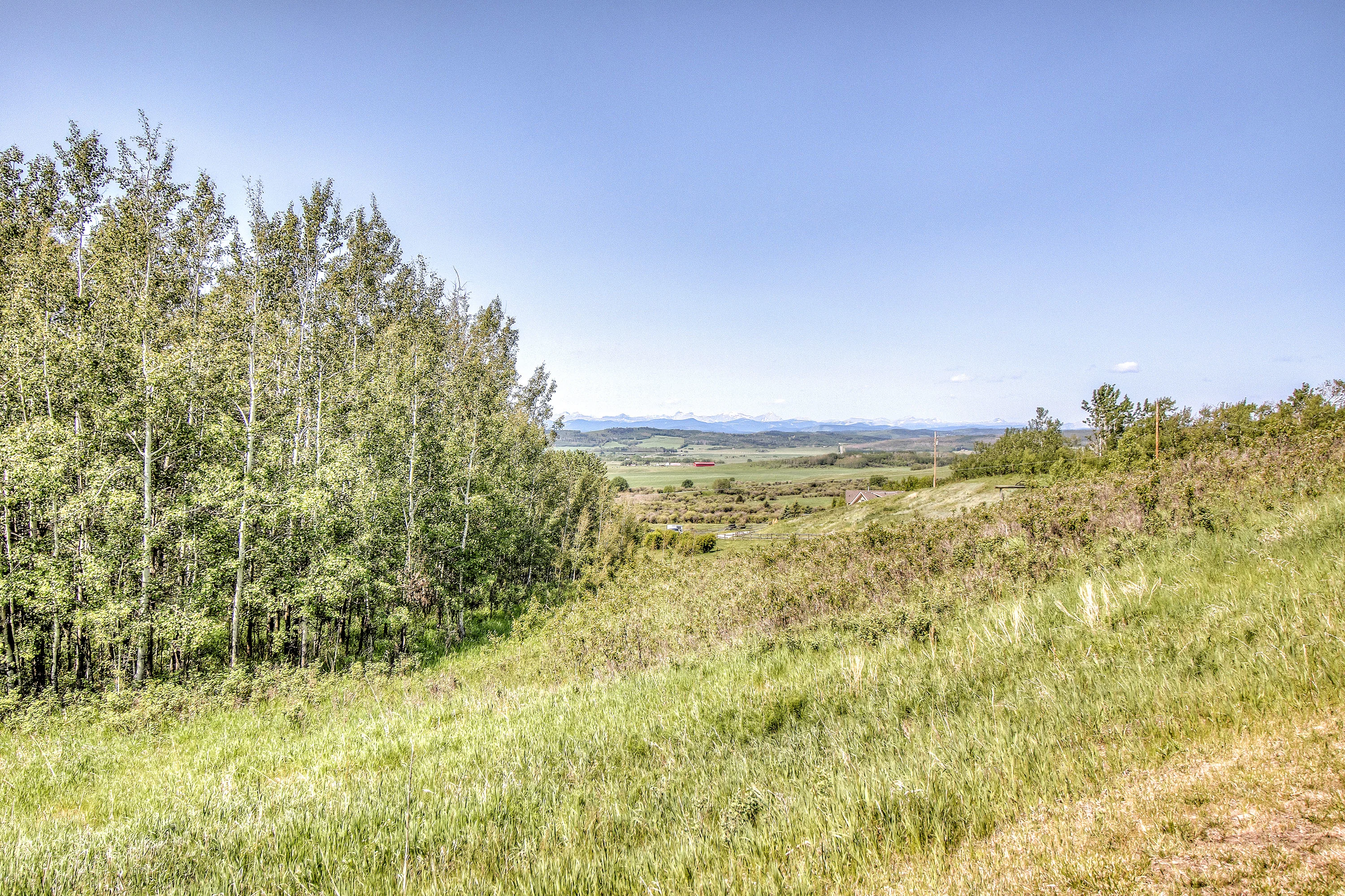 290156 160 Street W, Near Calgary, Alberta T2J 2P9, Canada - 290156-160-street-rural-foothills-county-alberta-canada59_nqrgbv