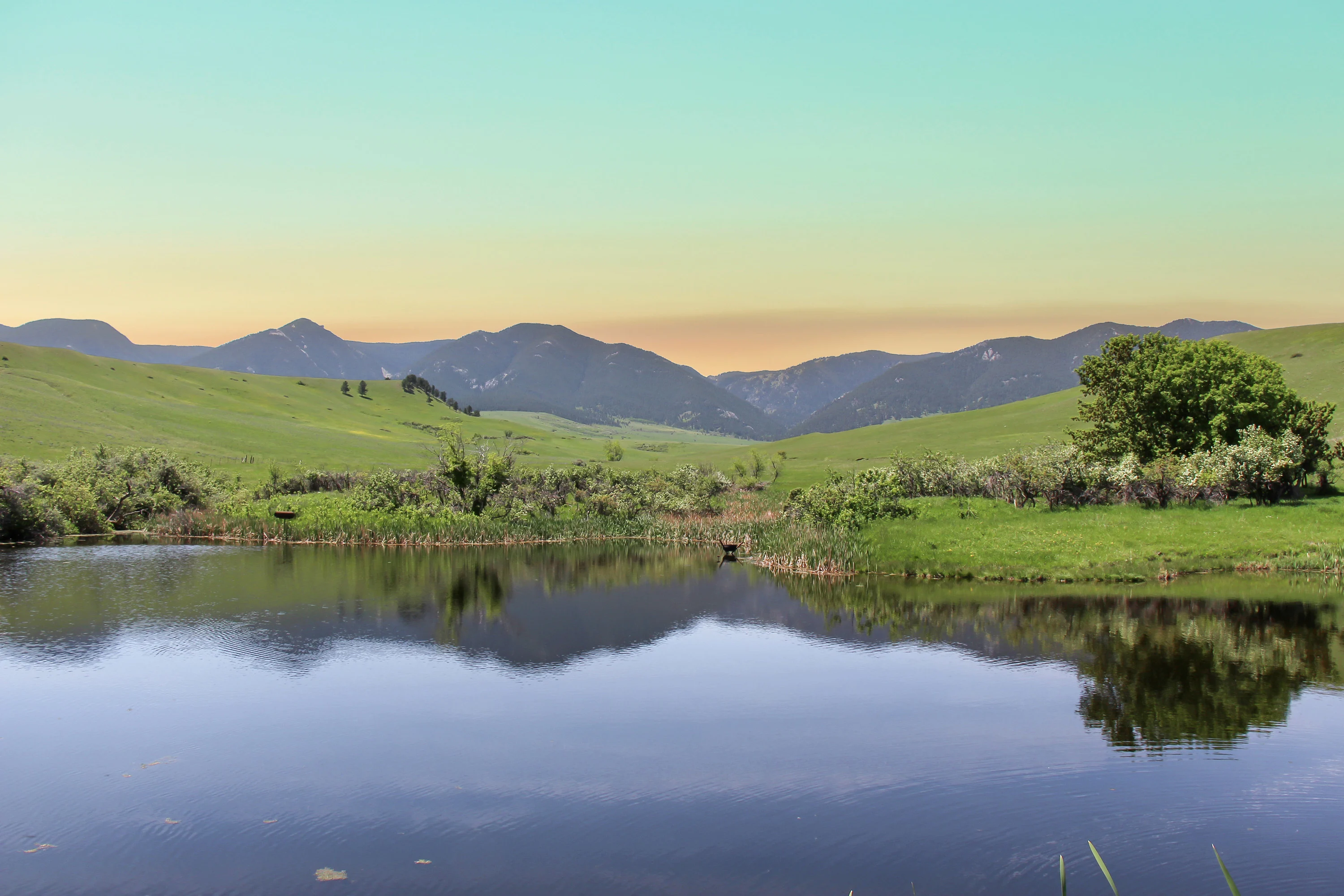 43 Rapid Creek Road, Sheridan, Wyoming 82801 - holy-cow-ranch-43-rapid-creek-road-sheridan-wyoming25_f3wv4c