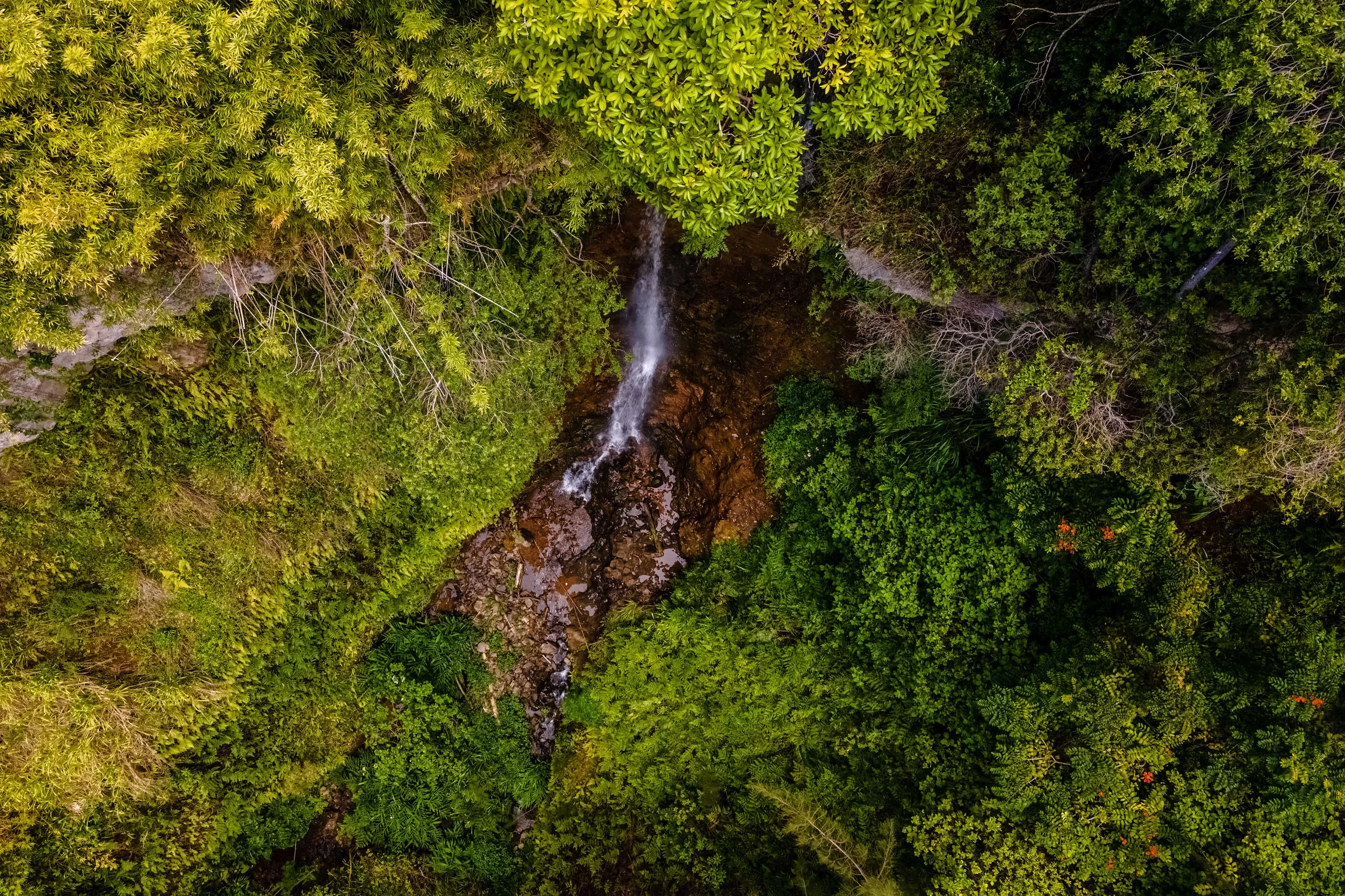 48-5432B Kukuihaele Road, Big Island, Hawaii 96727 - 18_-_48-5432B_Kukuihaele_Aerial-9_voo0cu