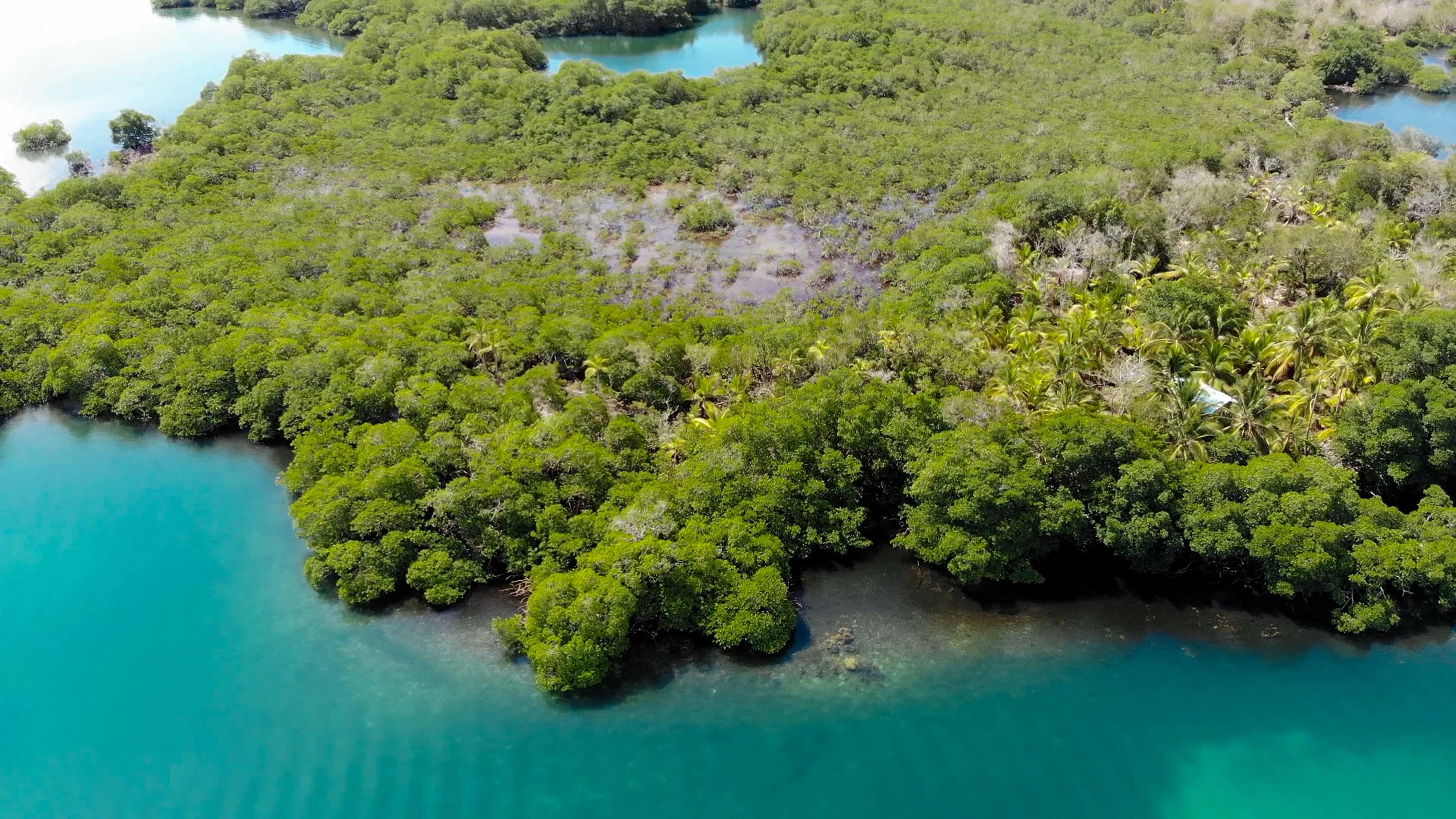 Build the Ultimate Island Oasis—, Dolphin Island—Bocas Del Toro/Near Costa Rica, Northwest Caribbean Sea , Panama - 5_-_DJI_0129.00_03_16_00.Still004_gcn0wt