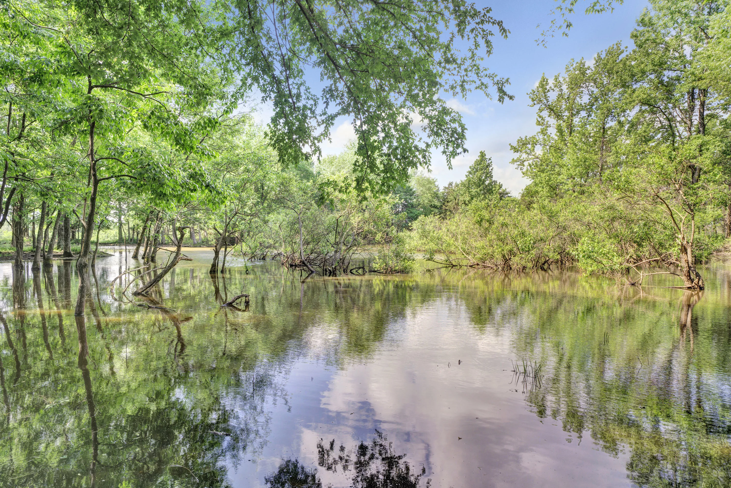 877 SW CR 3250, Dallas Area, Texas 75494 - ford-family-ranch-winnsboro-texas45_l6muej