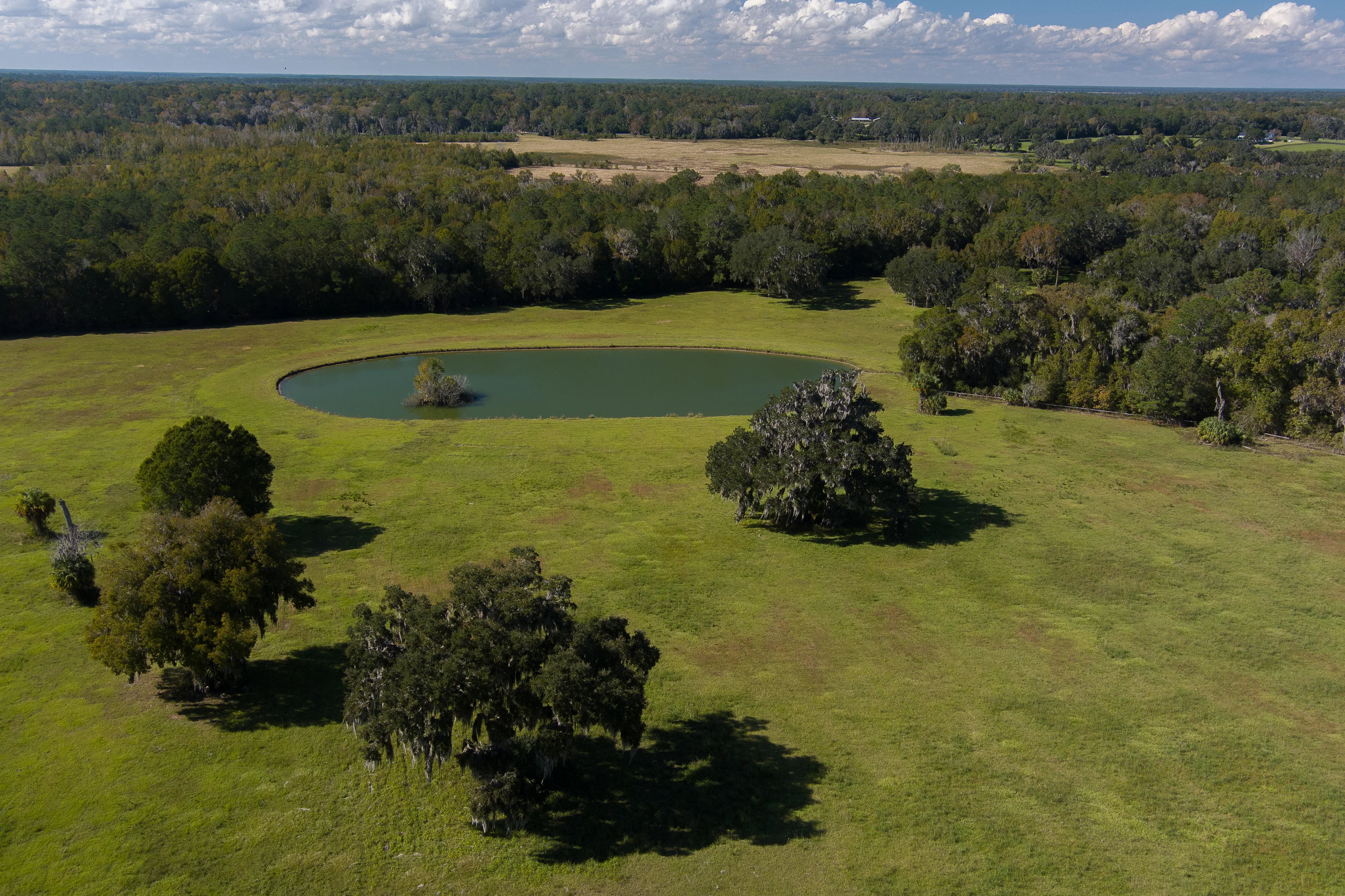 9001 NW 200th Street Road, Micanopy, Ocala Area, Florida 32667 - 9001_NW_200th_Street_Road_49_hln2df