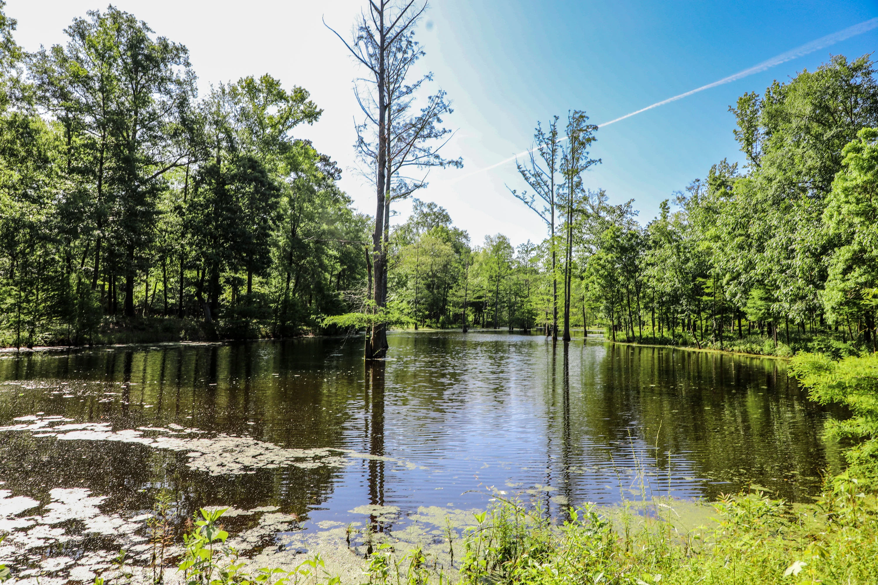Nix Lower Bayou, East Texas, Texas 75657 - 601-fm-134-jefferson-texas11_kuen6r