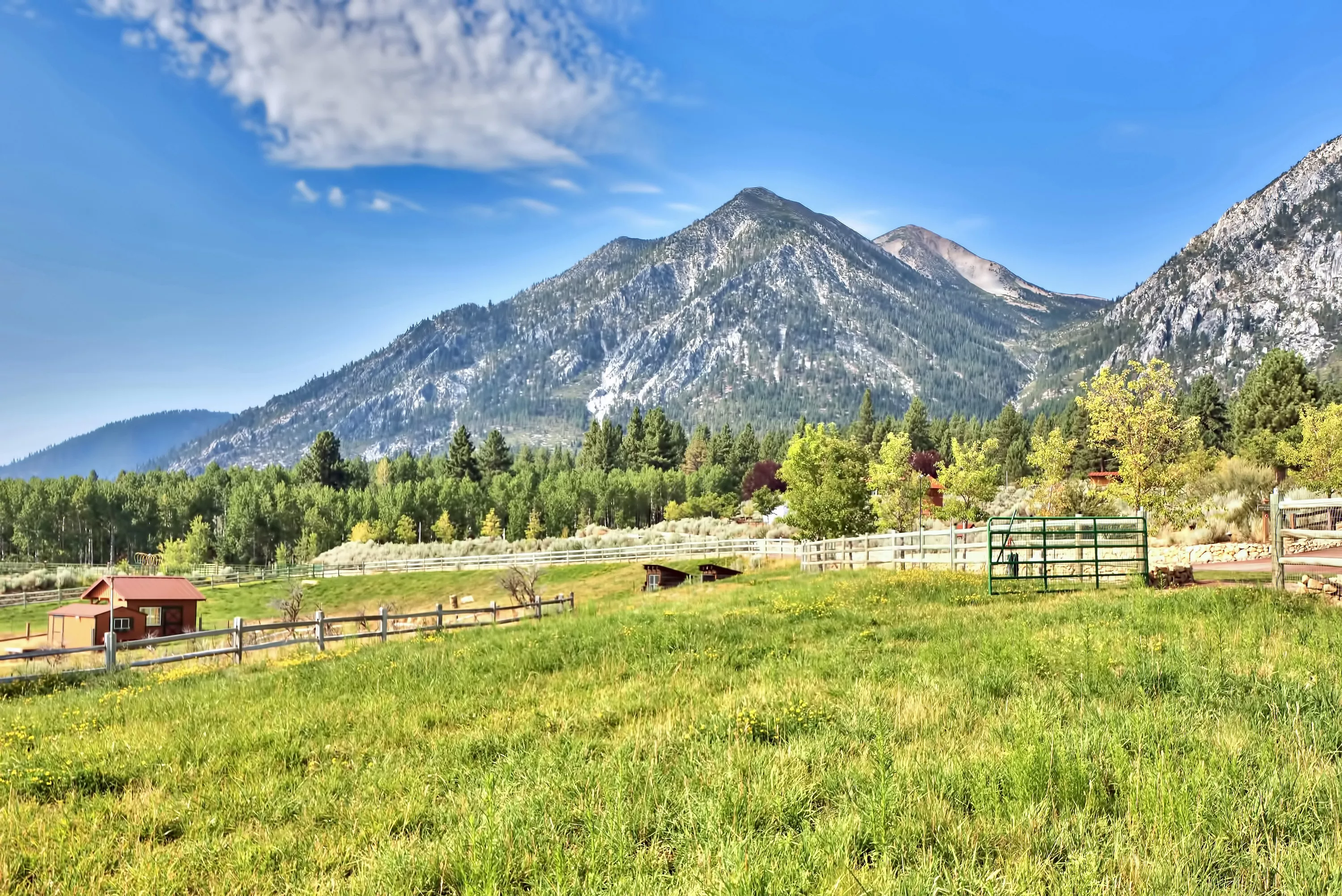 301 Five Creek Road, Near Lake Tahoe, Nevada 89460 - 301-five-creek-road-gardnerville-nevada-03_tibzft