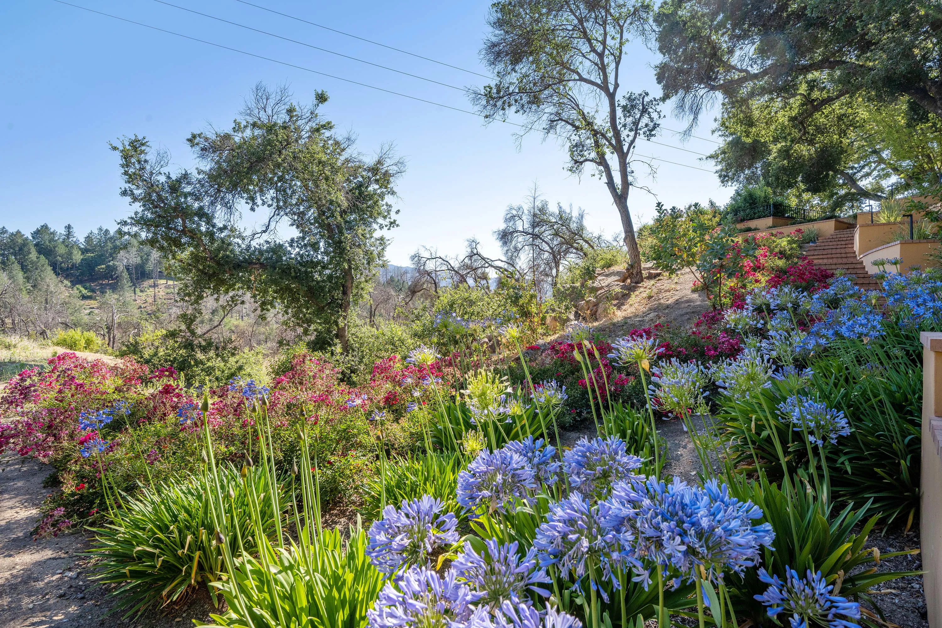 1103 Brittany Lane, Saint Helena/Napa, California 94574 - 25_-_147-1103-brittany-lane.65759.p5k.062.print_beyuzh