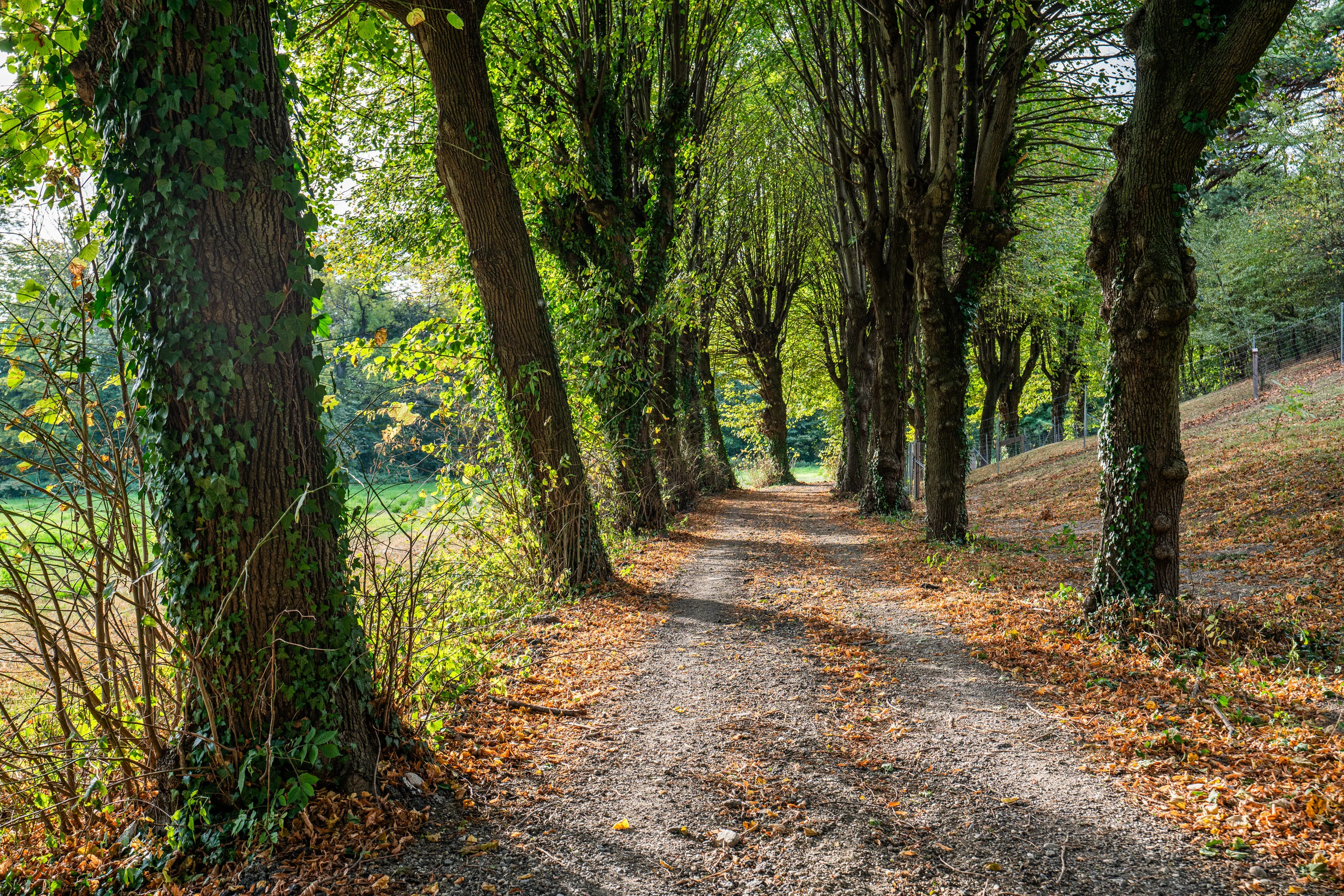 Schloss Stupache Allee, Stuppach, Near Vienna, Gloggnitz , Lower Austria - Mozarts-Last-Castle-38_czbhdz
