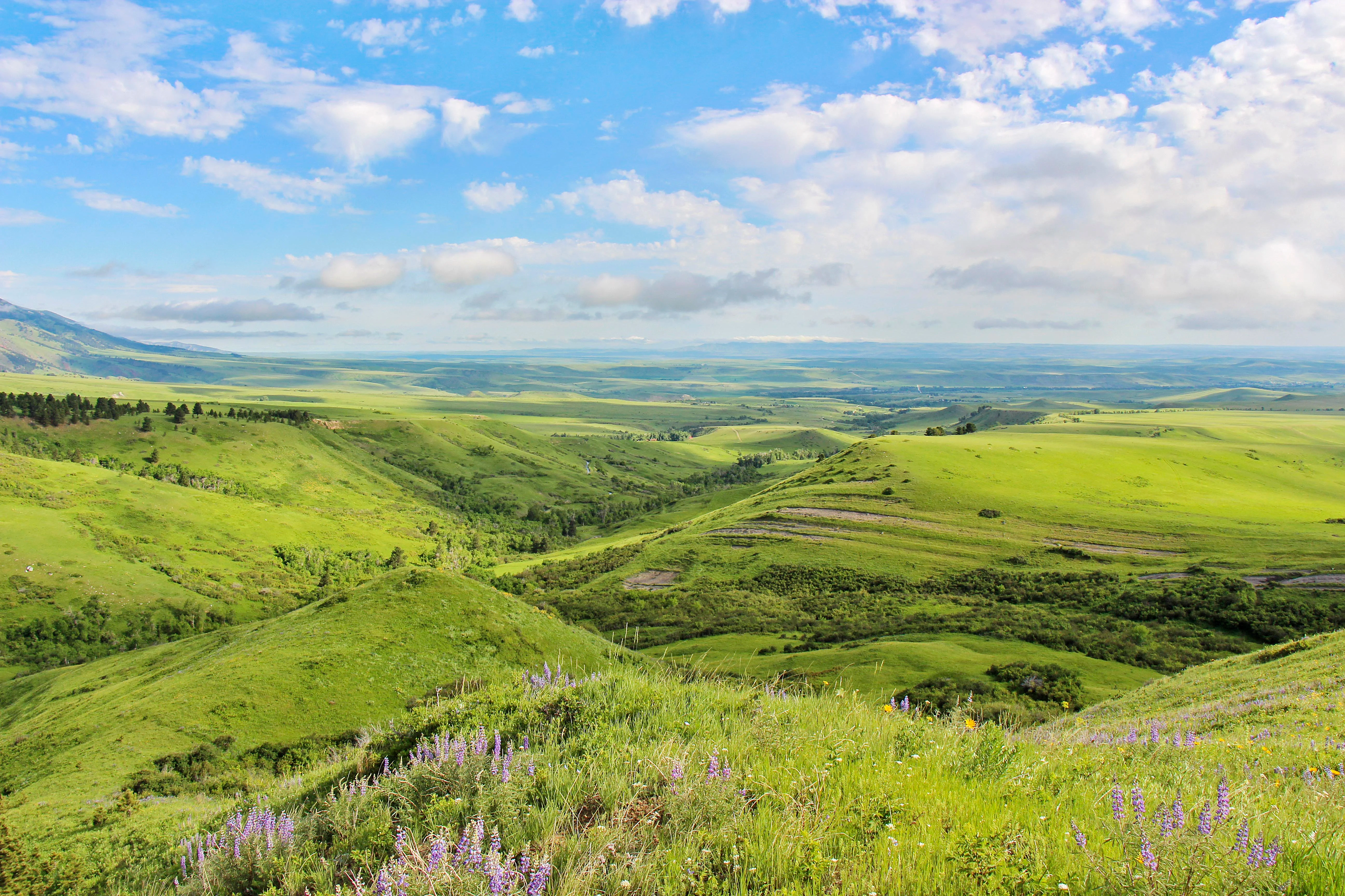 43 Rapid Creek Road, Sheridan, Wyoming 82801 - holy-cow-ranch-43-rapid-creek-road-sheridan-wyoming28_ahb3uw