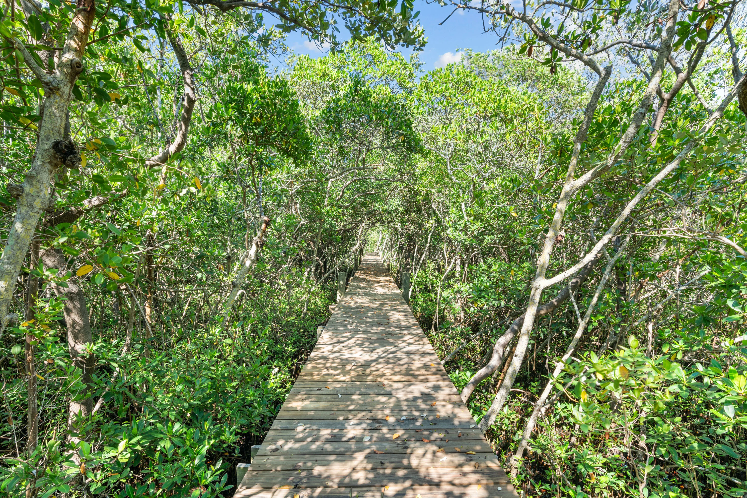 2007 Bayview Drive, Tierra Verde, Florida 33715 - 2007_Bayview_Drive_40_holet8