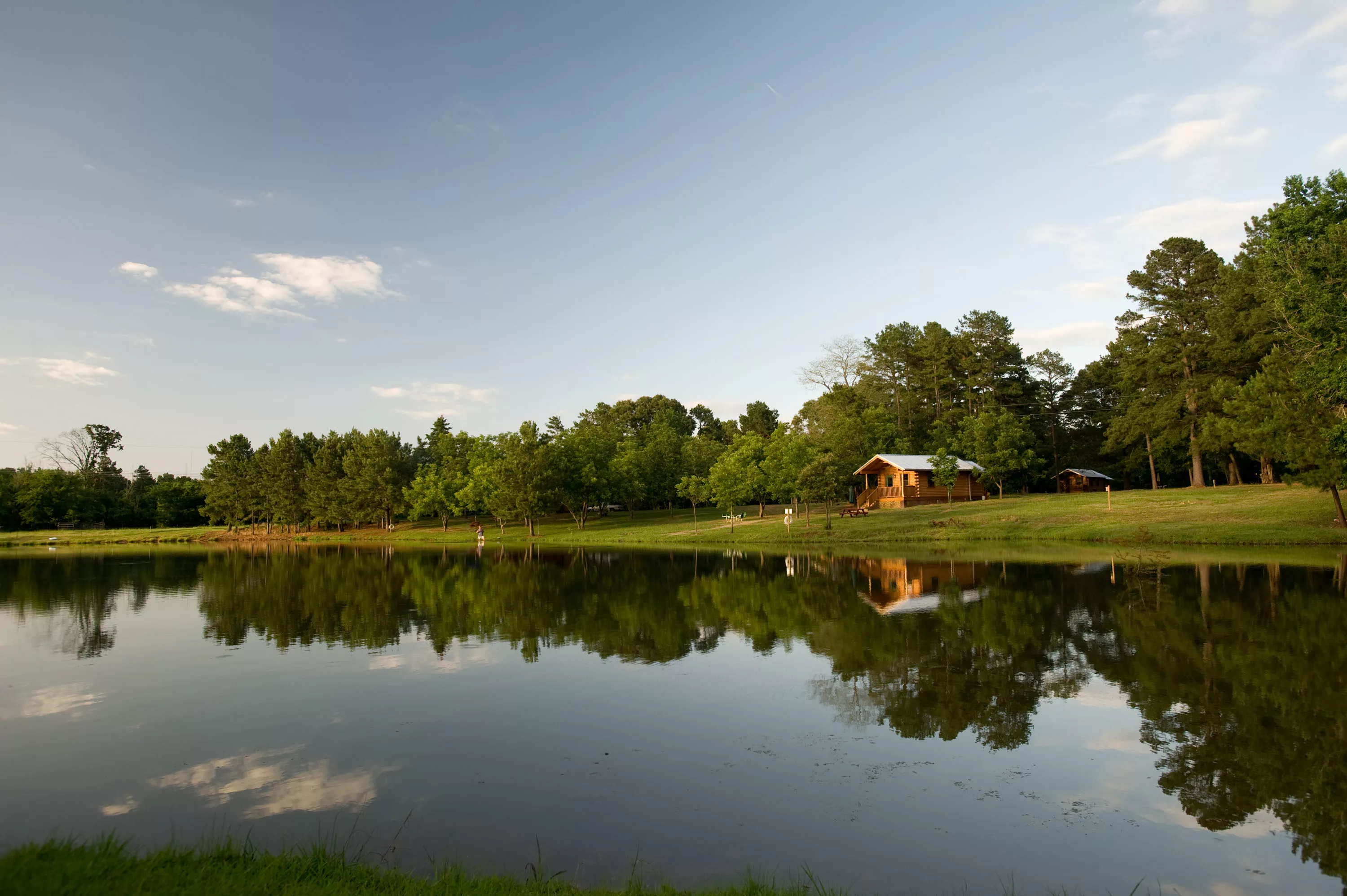 1444 CR 1125, Daingerfield, Texas 75638 - the-greer-farm-1444-cr-1125-daingerfield-tx-02-23-14-24-2424_lqhbh2