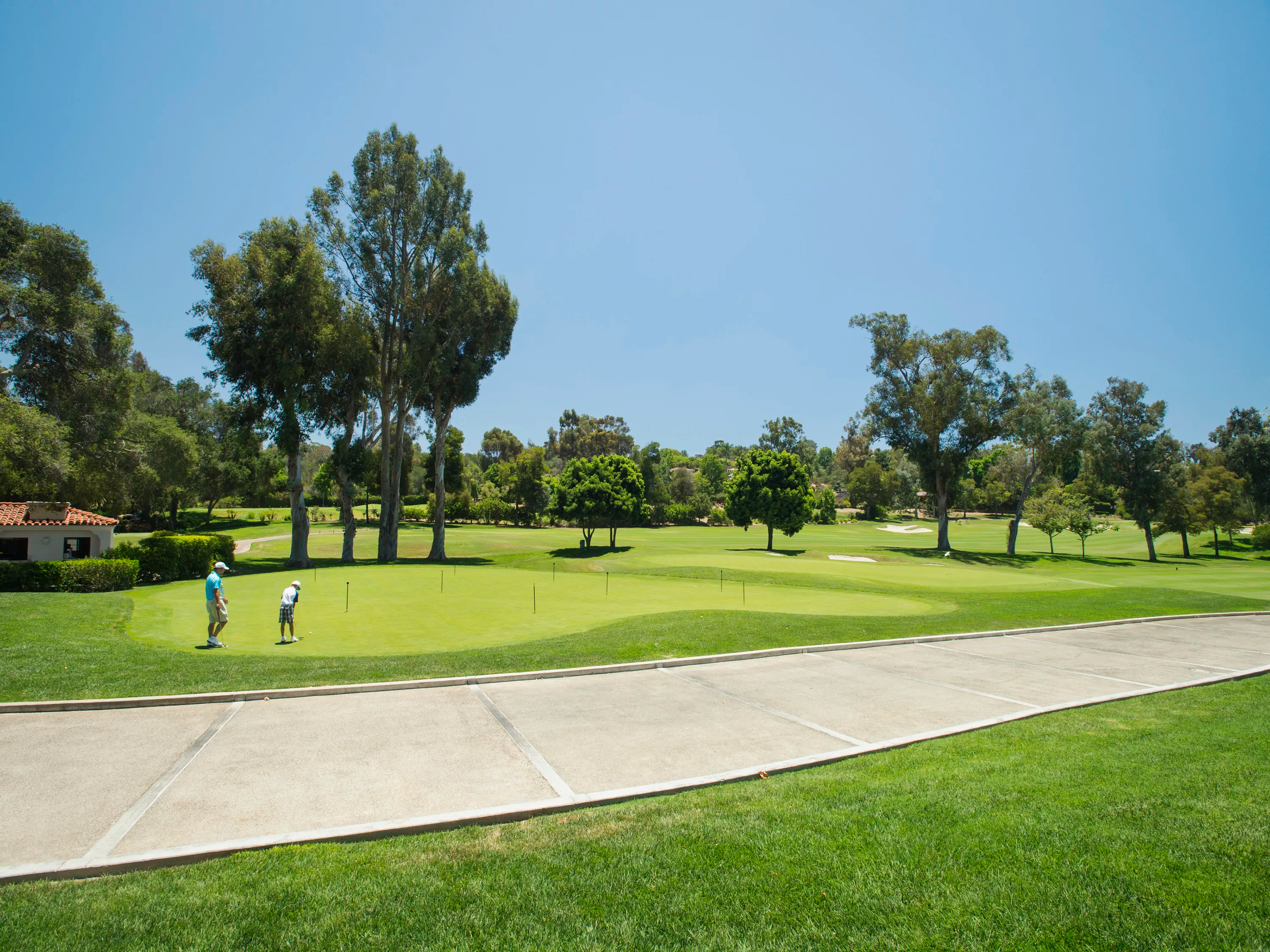 5425 Los Mirlitos Street, Rancho Santa Fe, California 92067 - el-milagro-5425-los-mirlitos-rancho-santa-fe-ca-luxury-real-estate-43_npzypr