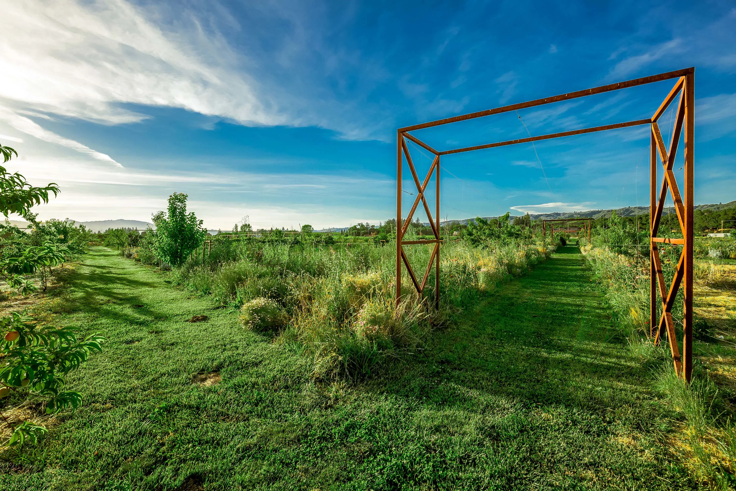 2836 Dry Creek Road, Sonoma County, California 95448 - 2836-dry-creek-road-healdsburg-california41_tkfhup