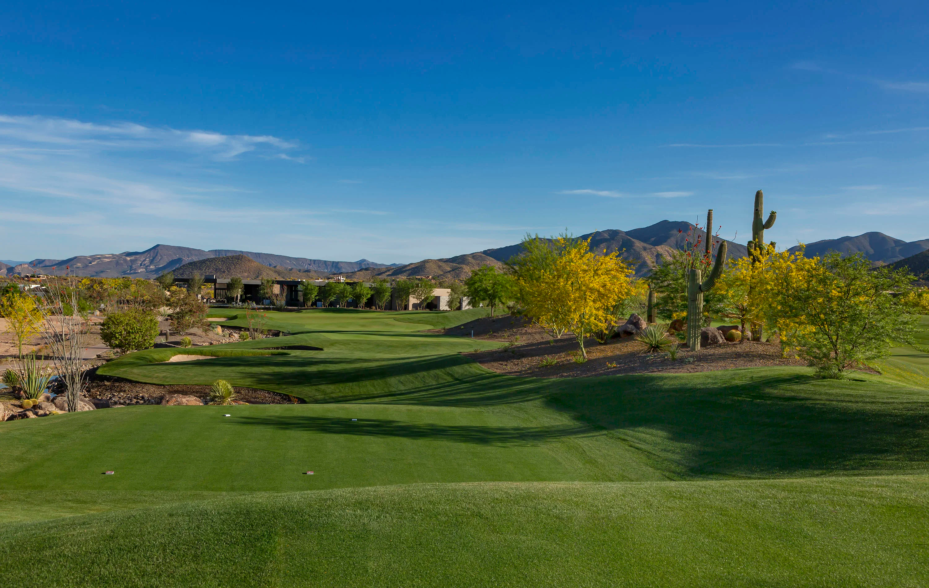 9315 East Aw Tillinghast Road, Scottsdale, Arizona 85262 - 9315_E_Aw_Tillinghast_Rd_31_19_azvllj
