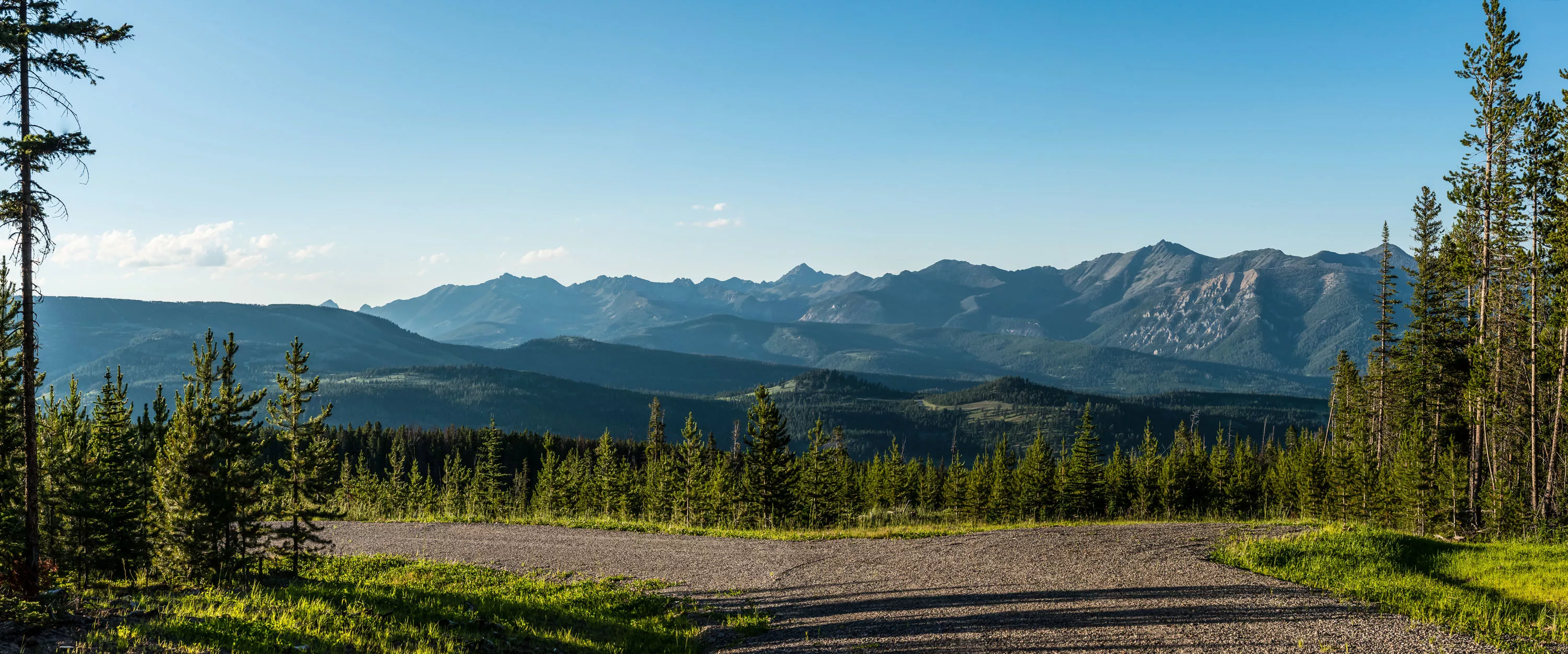 Yellowstone Preserve, Big Sky, Montana  - yellowstone-preserve-big-sky-mt-white-bark_02_hcjpm6