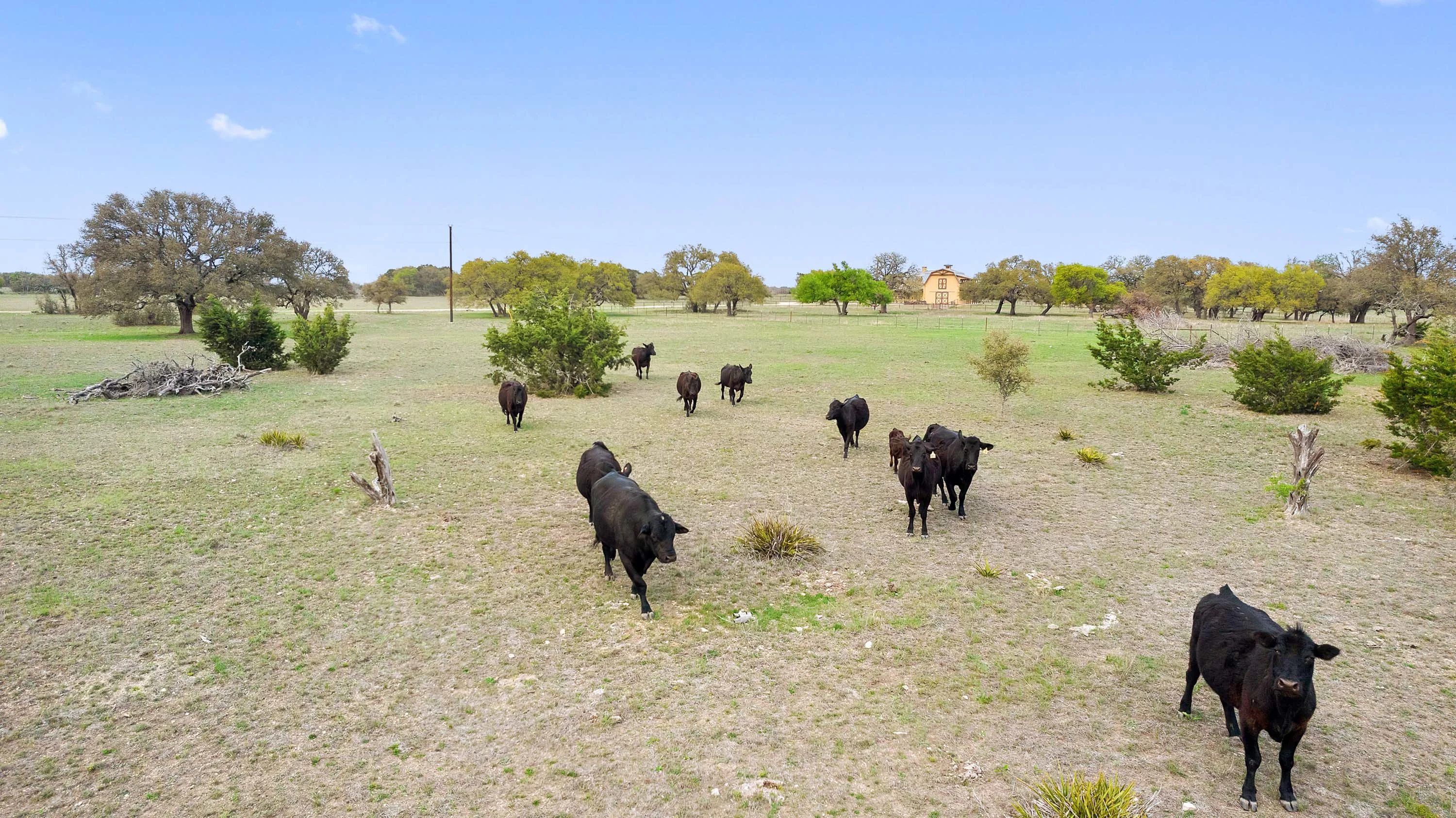2006 Country Road 112, Burnet, Hill Country, Texas 78611 - 39_2006_CR_112_pzaohf