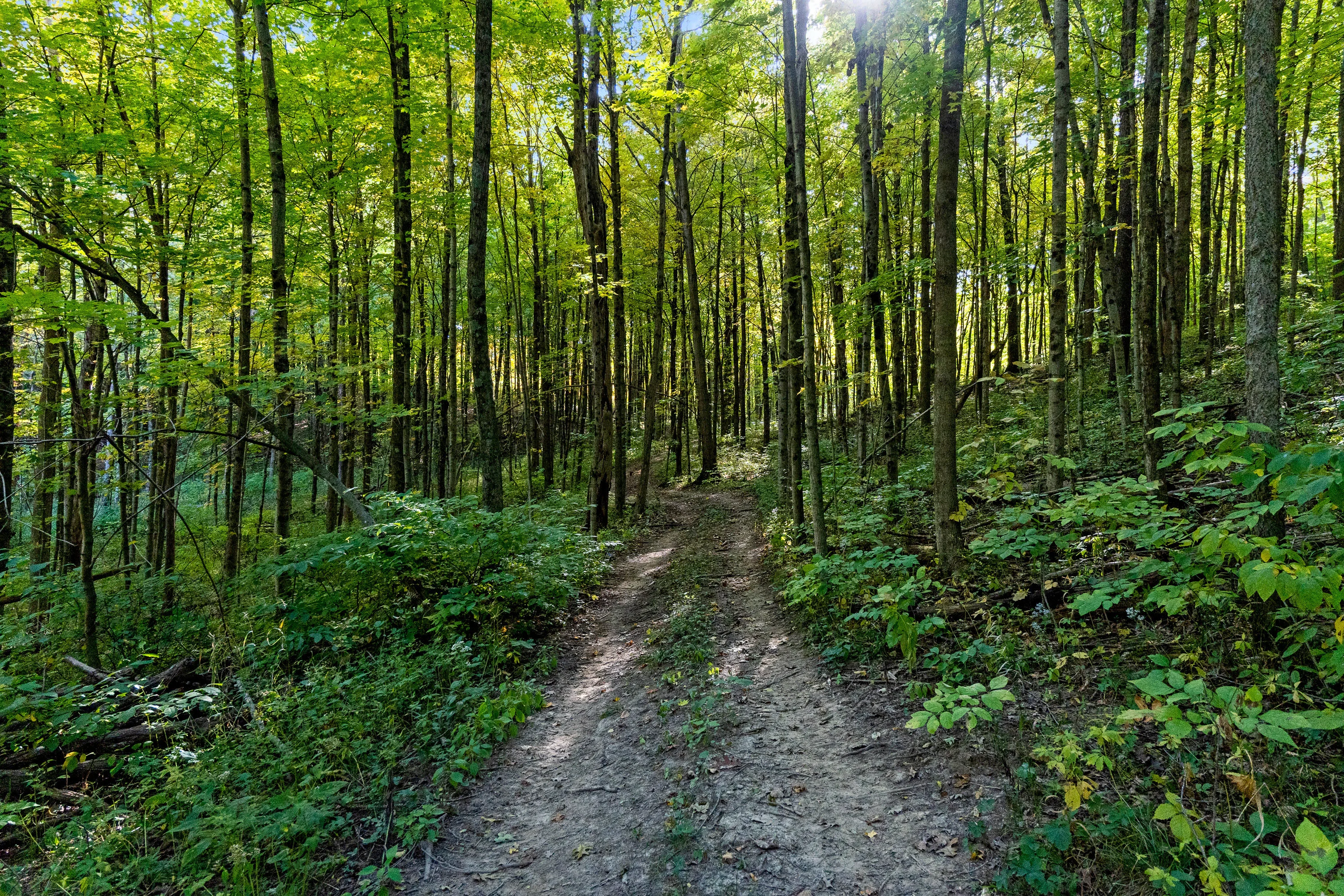 534 South 500 East #57, Avilla, Fort Wayne Area, Indiana 46710 - 534_S_500_E_57_52_hju5rz