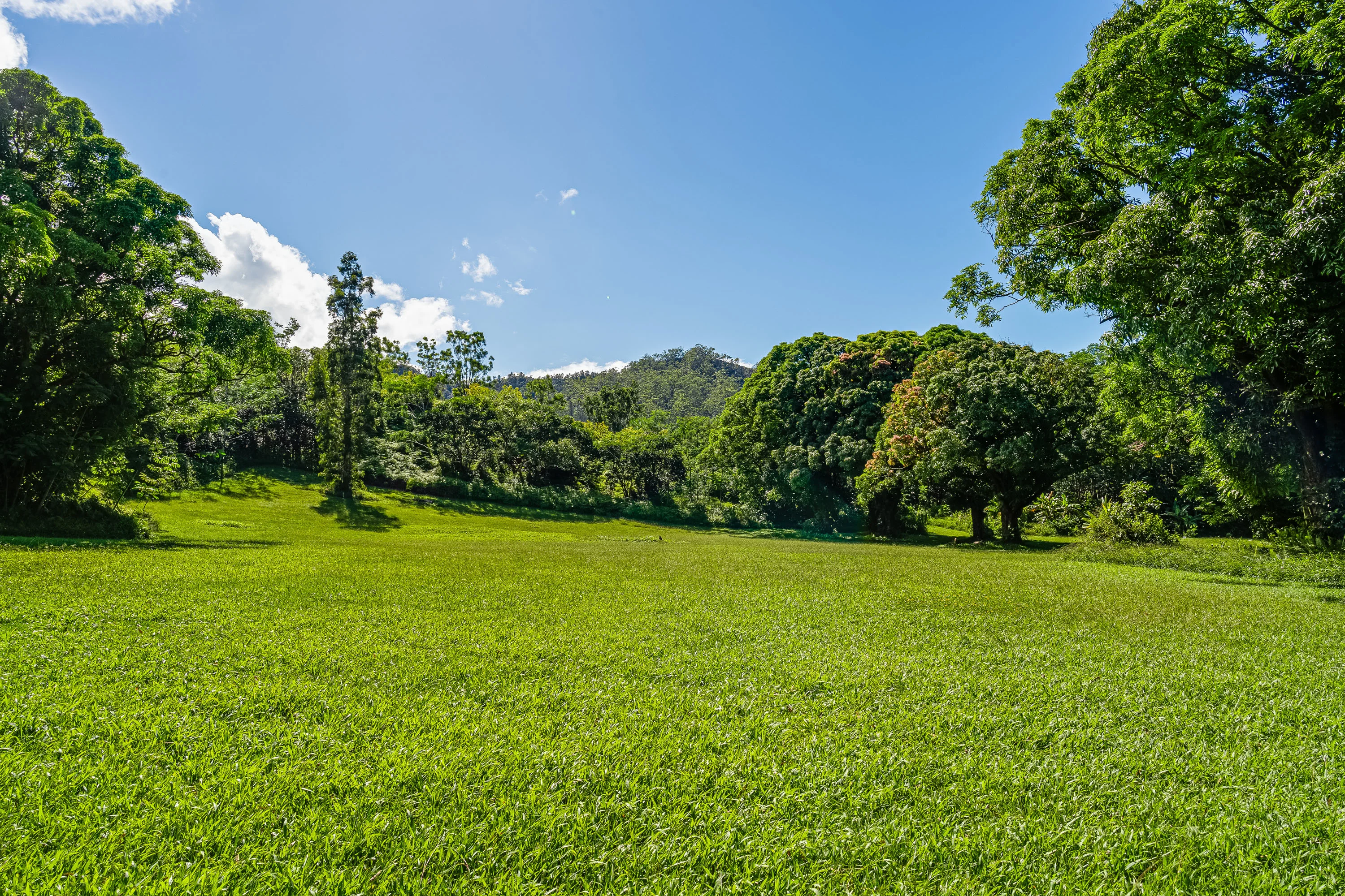 Kuhio Highway, Hanalei, Kauai, Hawaii  - Hanalei_Hideaway_08_tjfdk2