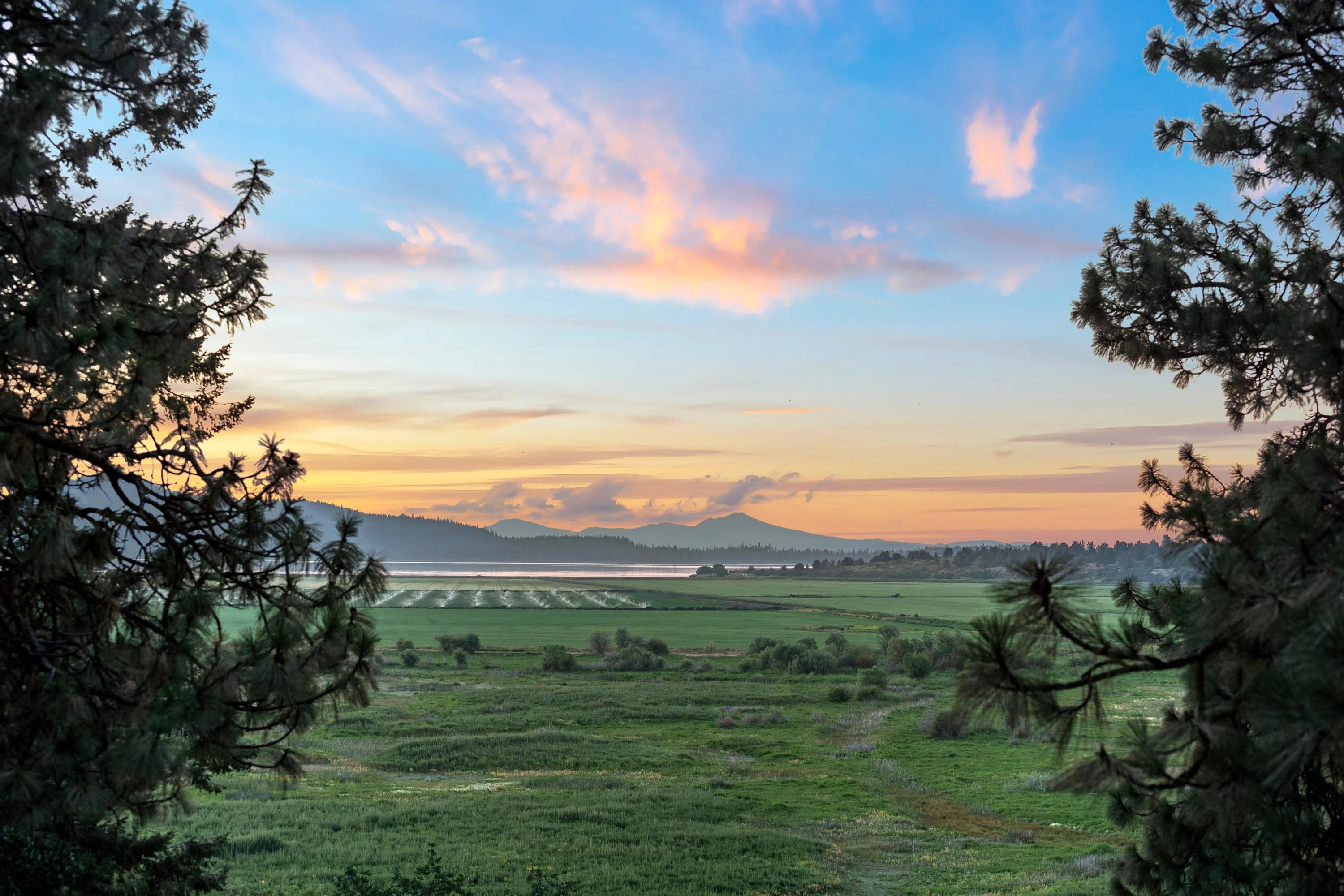 11944 Kestrel Road, Southern Oregon, Oregon 97601 - 11944-kestrel-road-klamath-falls-oregon29_w9pqoc