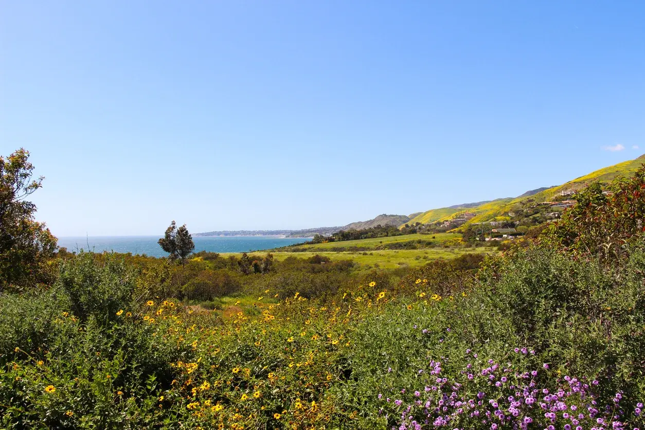 Malibu, California  - iStock-1417015412_ndktph