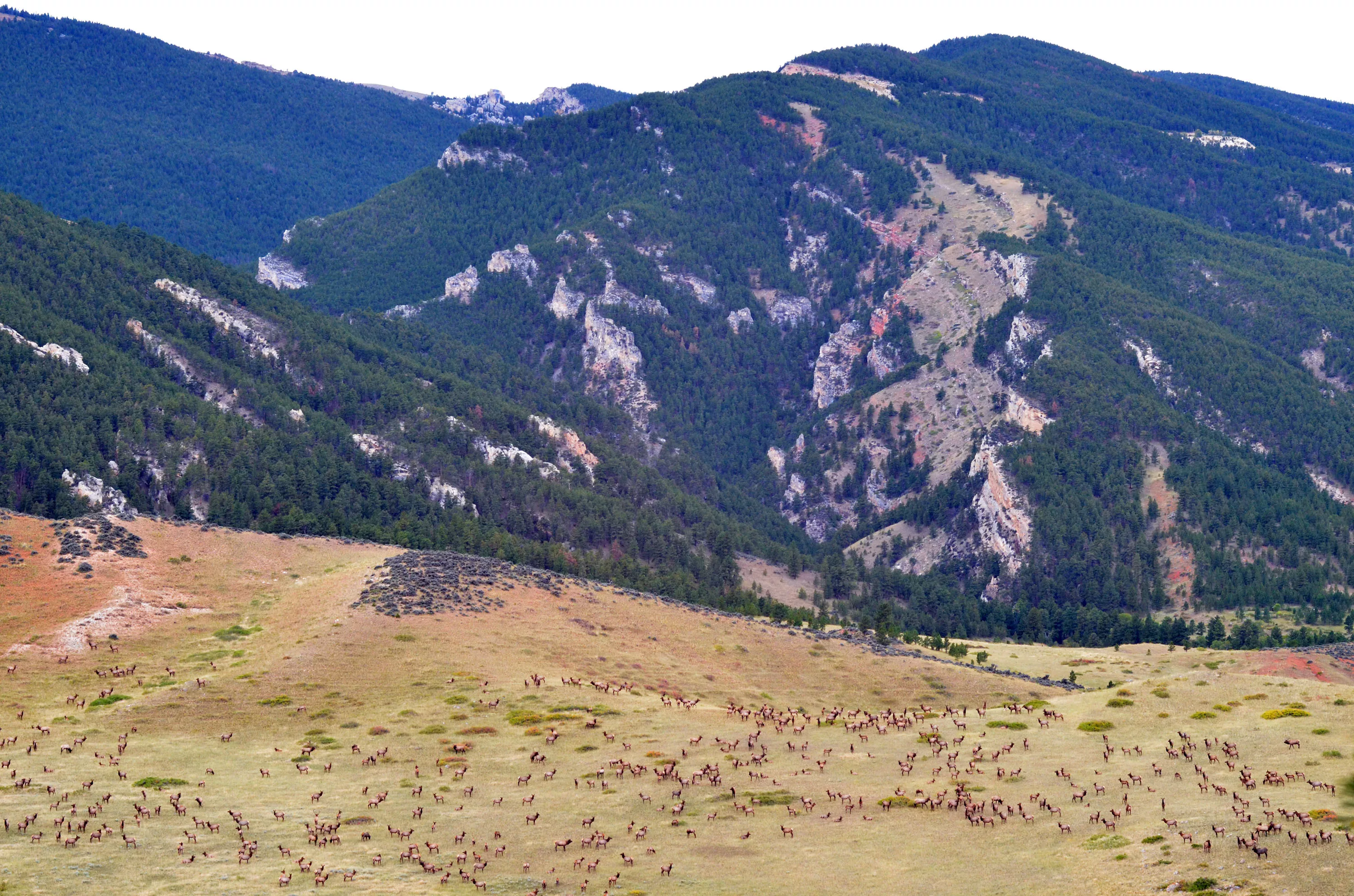 Horsehoe Ranch, Dayton / Sheridan Area, Wyoming  - horseshoe-ranch-dayton-wyoming05_cdzjhs