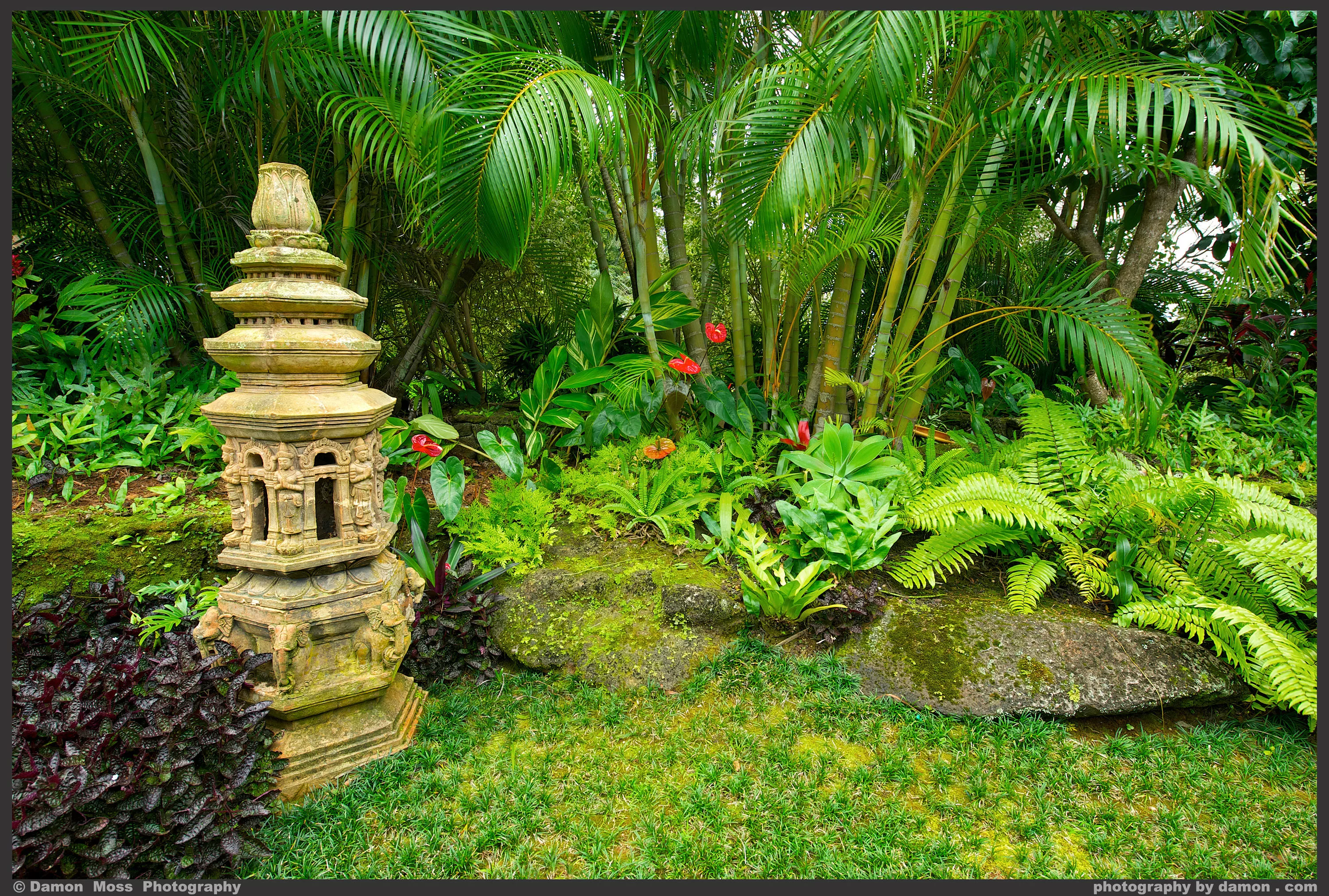 4201 Anini Vista Drive, Kilauea, Hawaii 96754 - rkpstonetowerlandscaping6942ret_dm_zn9kkb