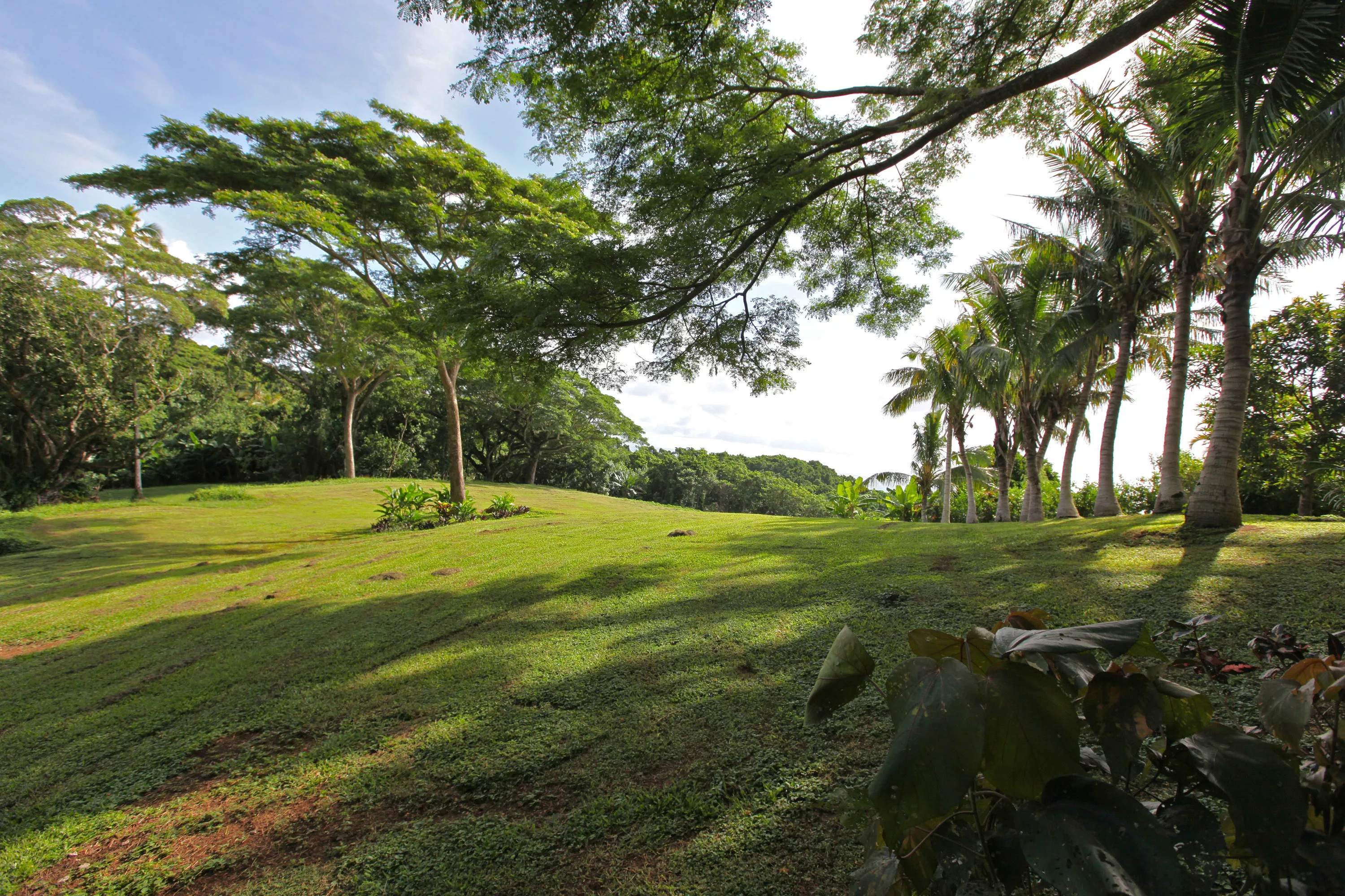 Rai Ki Wai Estate, Wakaya Island,  , Fiji - img_0523_gvlxy1