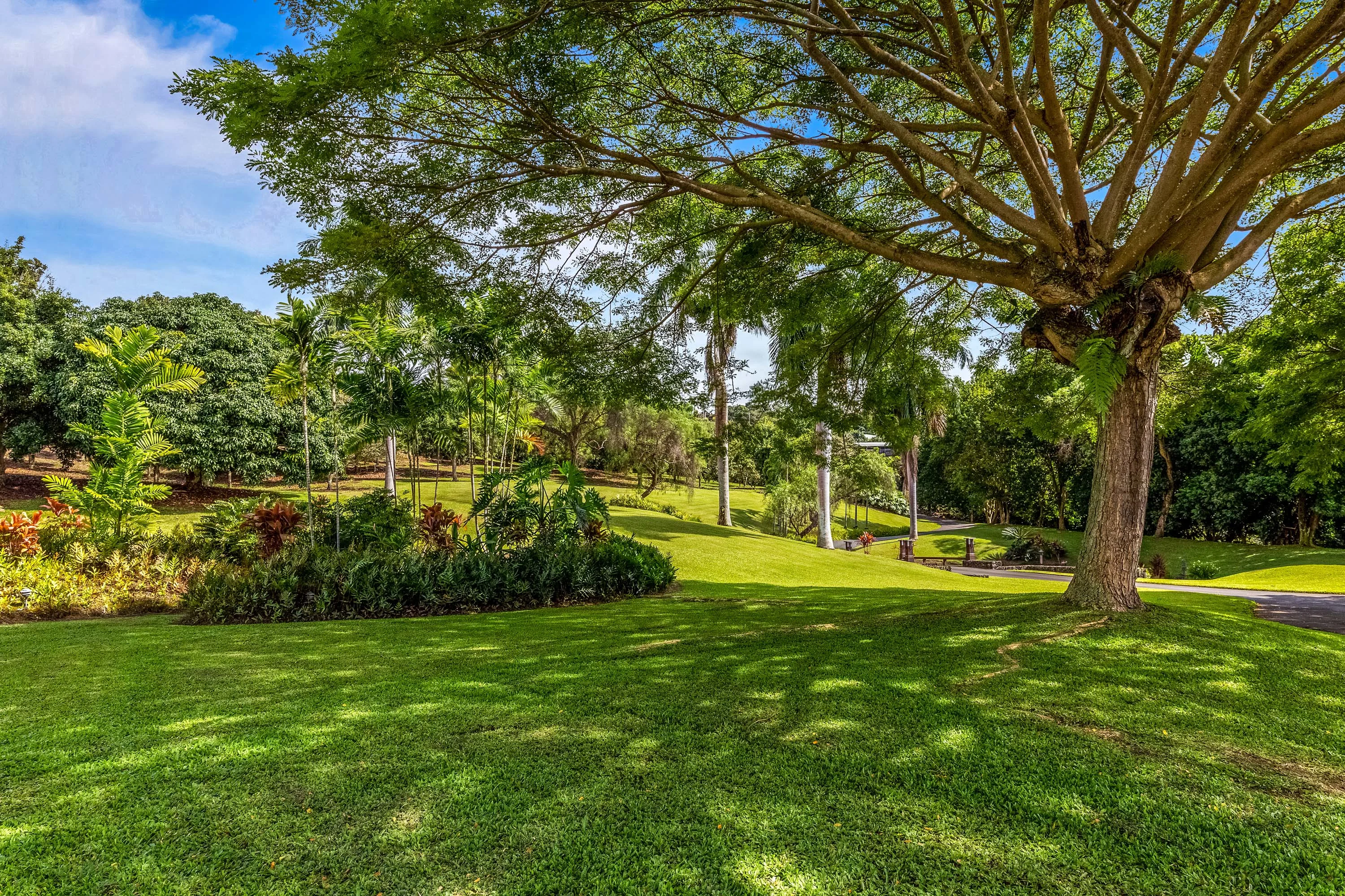 75-5710 Mamalahoa Highway, Big Island, Hawaii 96725 - 75-5710-mamalahoa-highway-holualoa-hawaii07_wn38hj