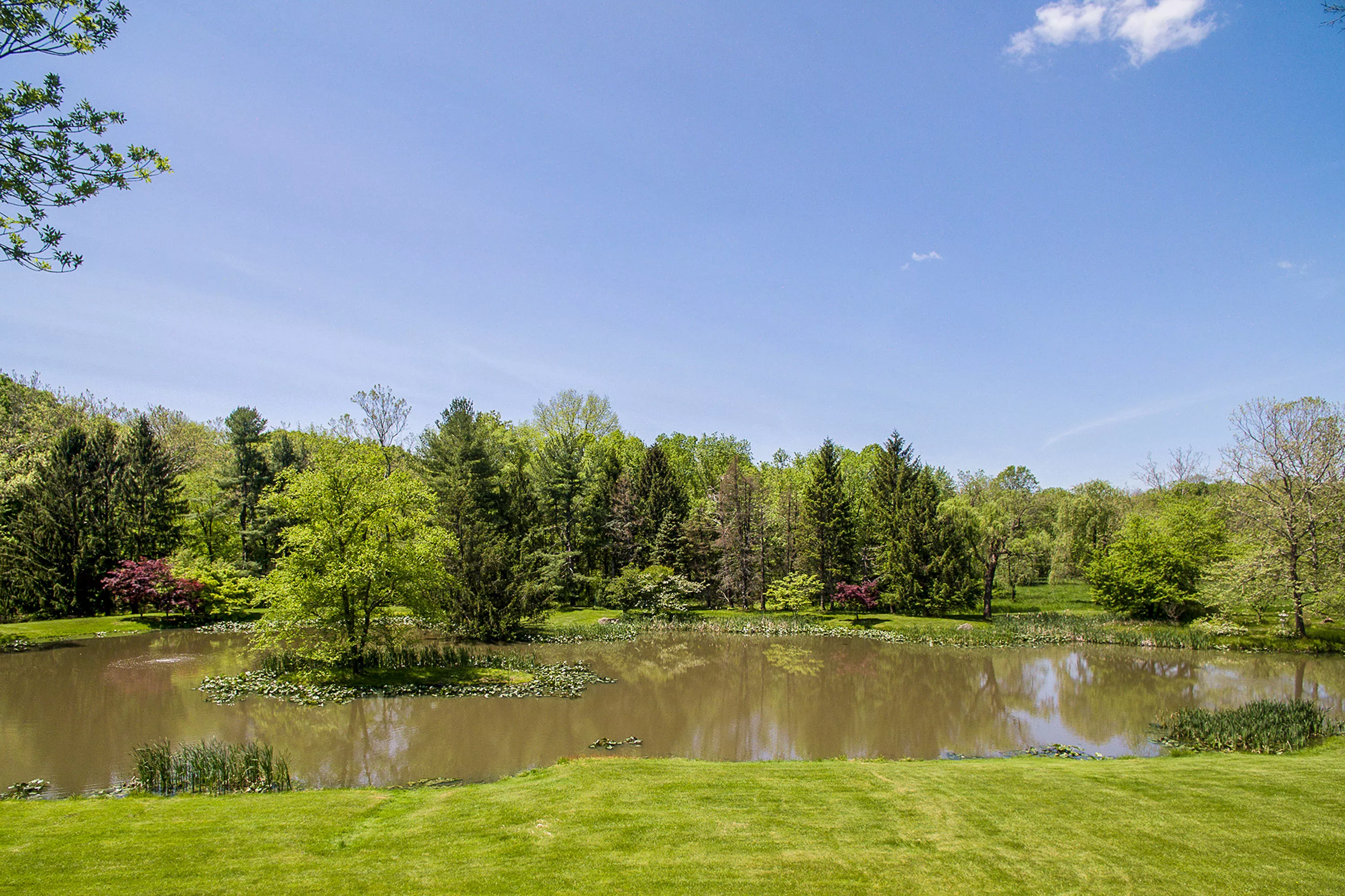 48 Elm Ridge Road, Princeton Area, New Jersey 08534 - 48-elm-ridge-road-pennington-new-jersey31_hqu8it