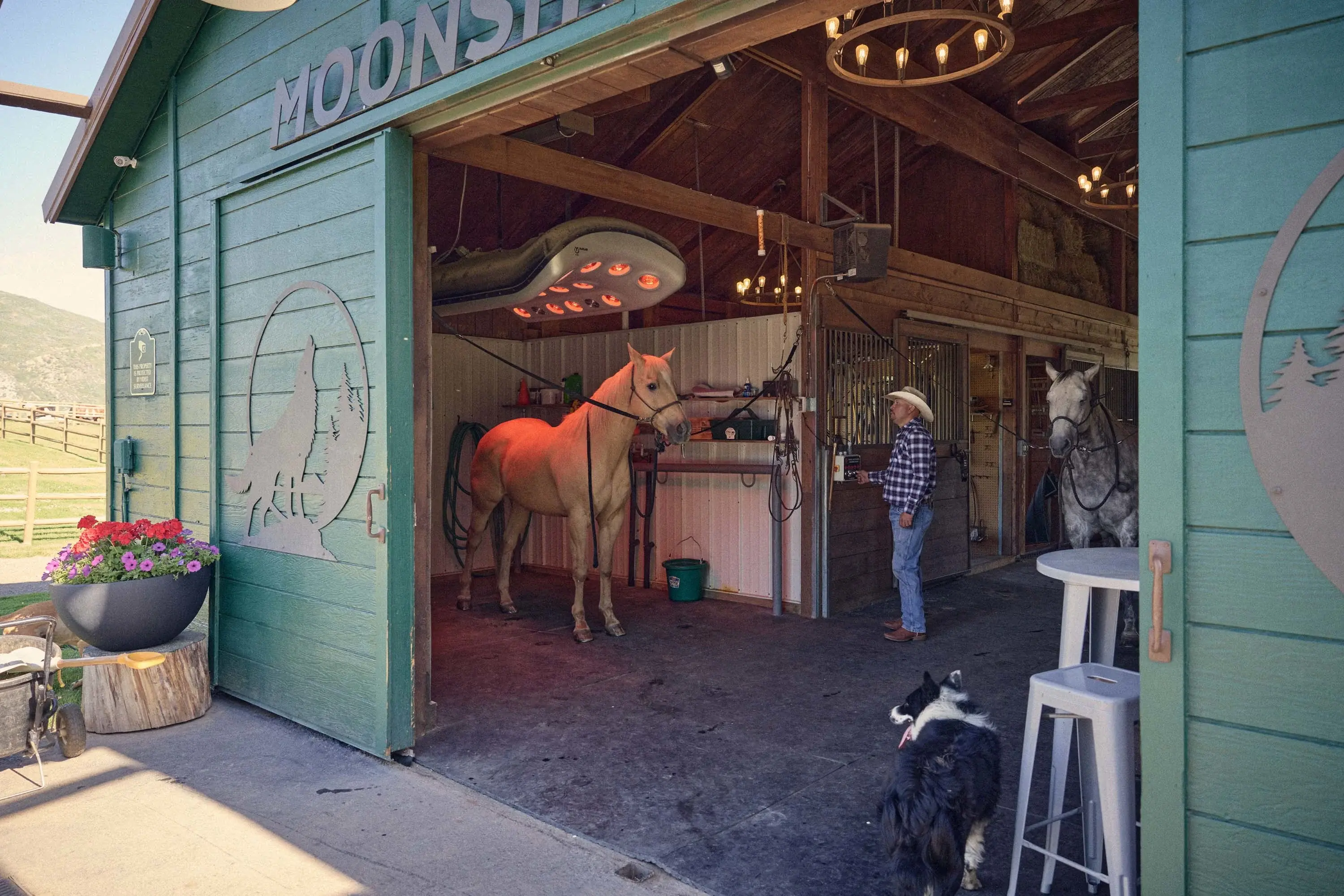 Moonshoot Ranch | 910 White Star Drive, Aspen, Colorado 81611 - 33_Moonshot_Ranch_910_White_Star_Drive_Aspen_CO_81611_ggwbom