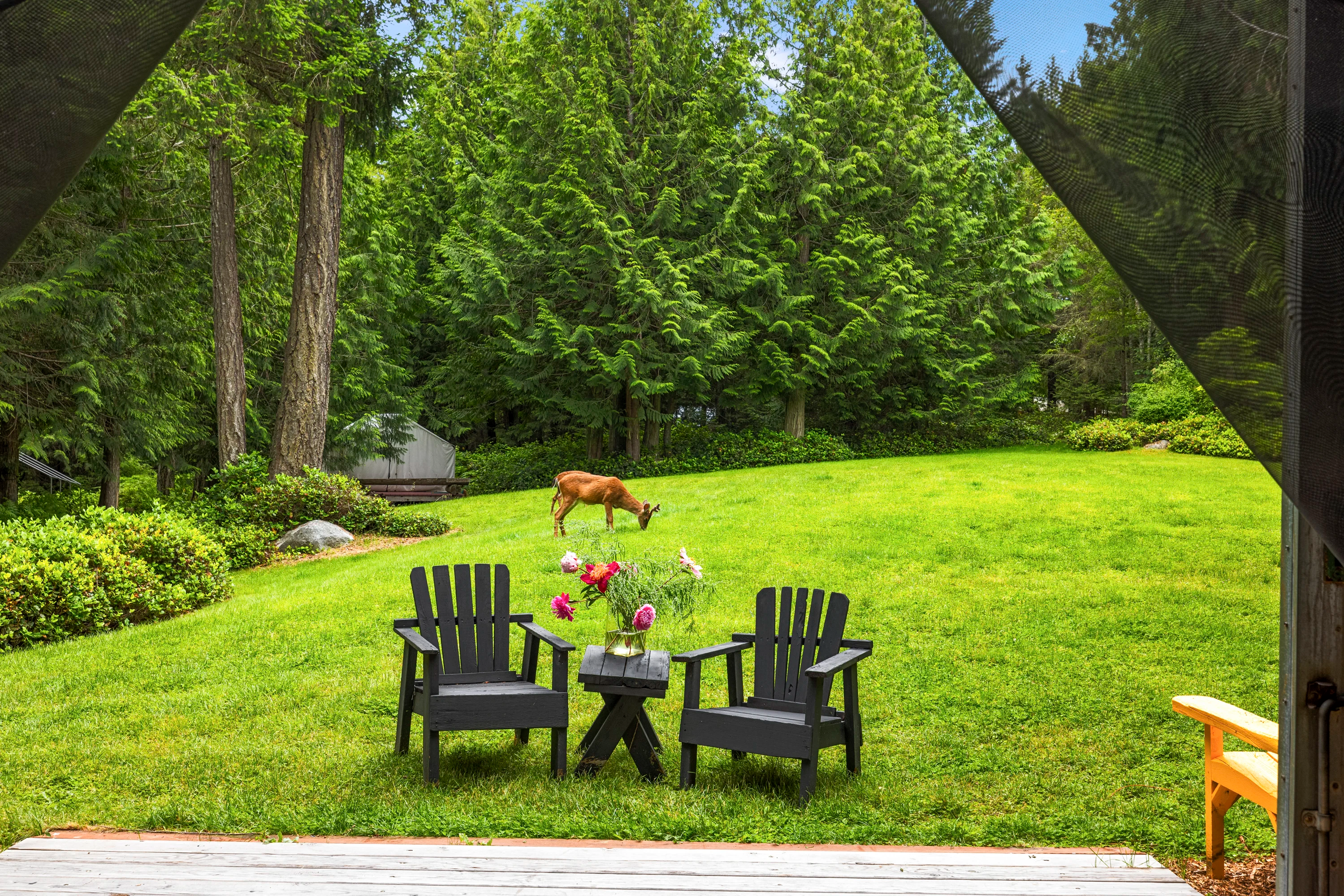 137 Forest Lane, Lopez Island, San Juan Islands, Washington 98261 - 137_Forest_Lane_27_to4ltp