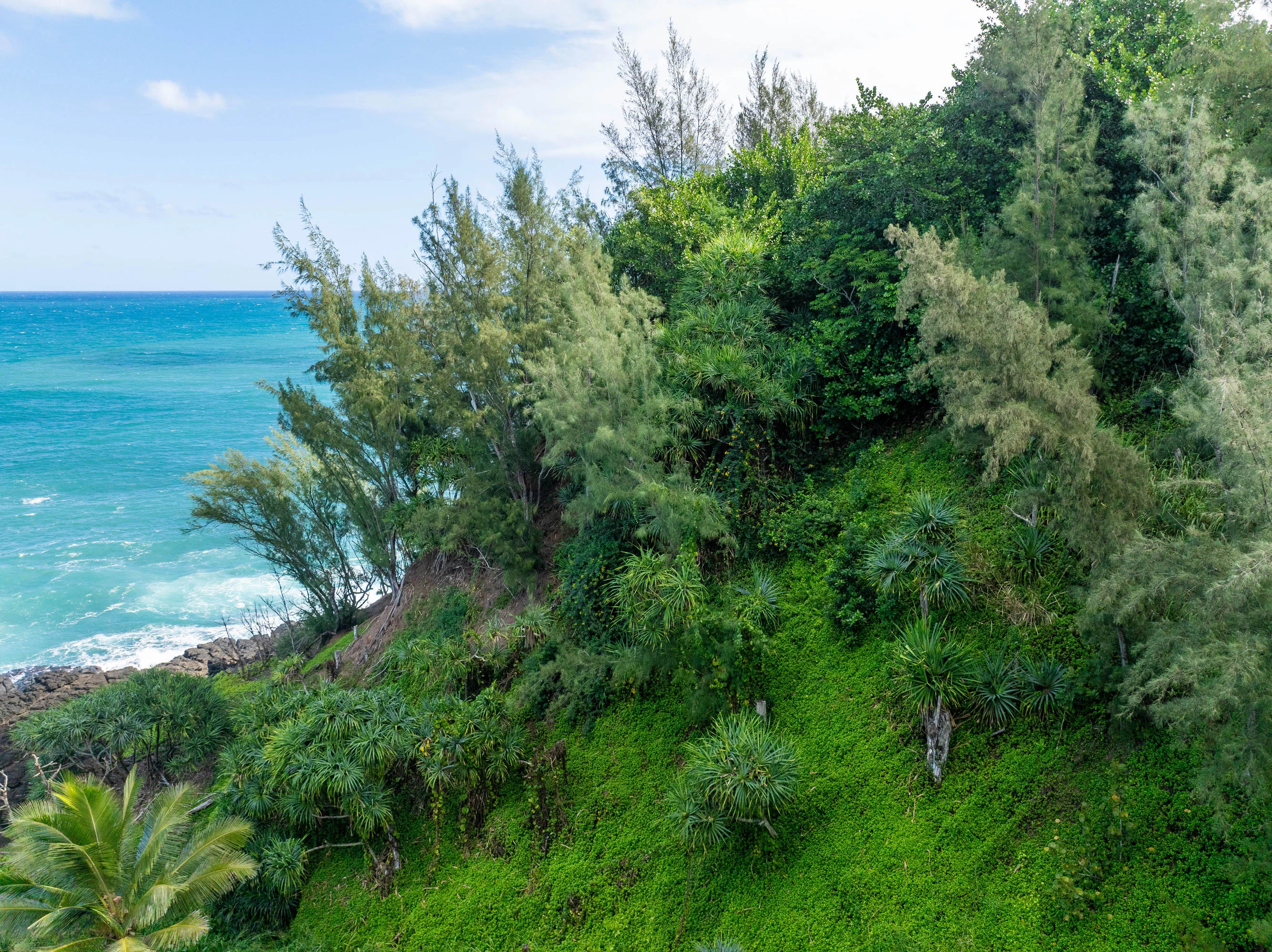3 Kaui Road, Princeville, North Shore Kauai, Hawaii 96722 - 3_Kaui_Rd_13_en3kiw