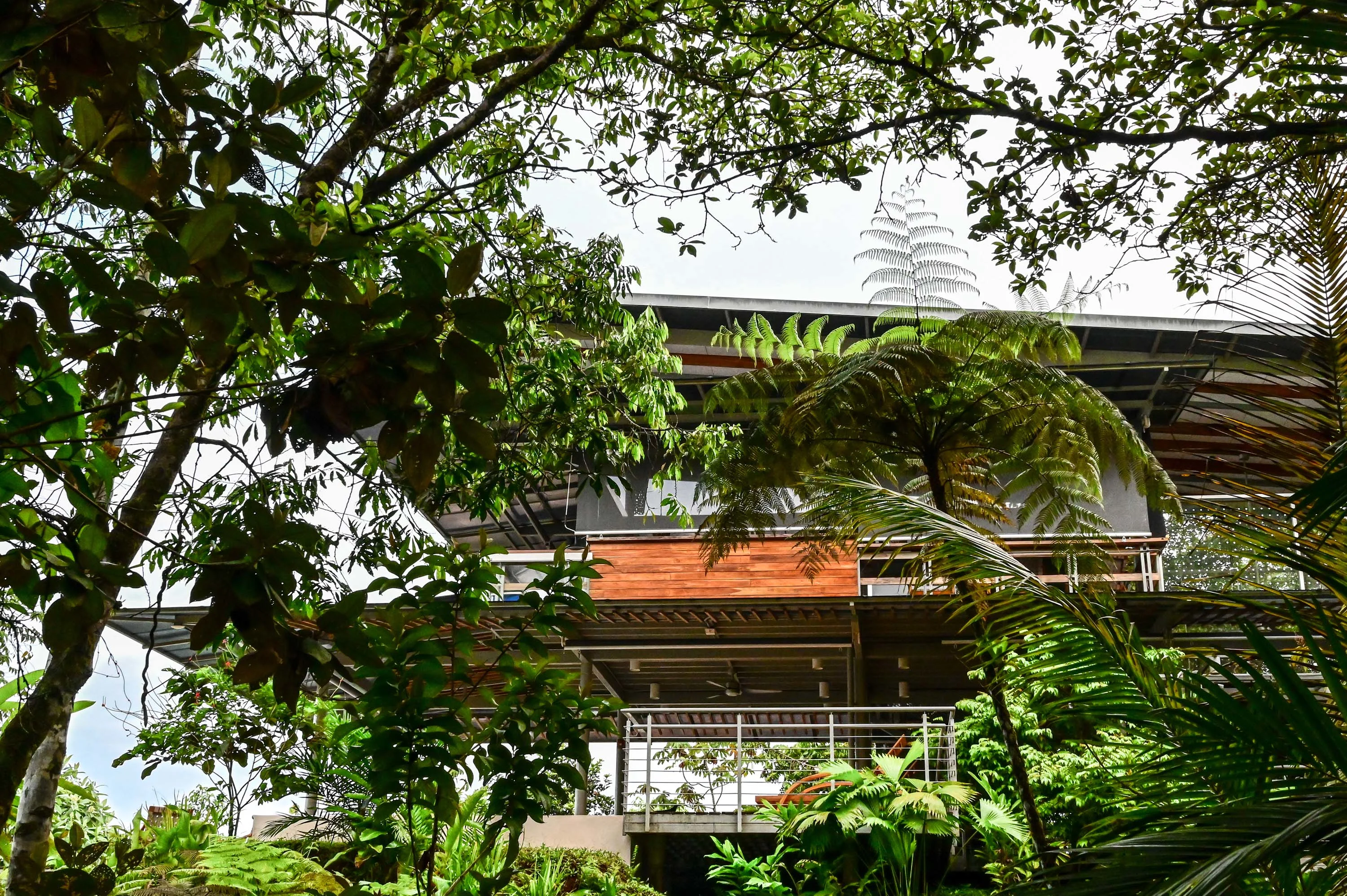 Cielo Lodge, Golfito, Puntarenas , Costa Rica - 06_Cielo_Lodge_kafavw