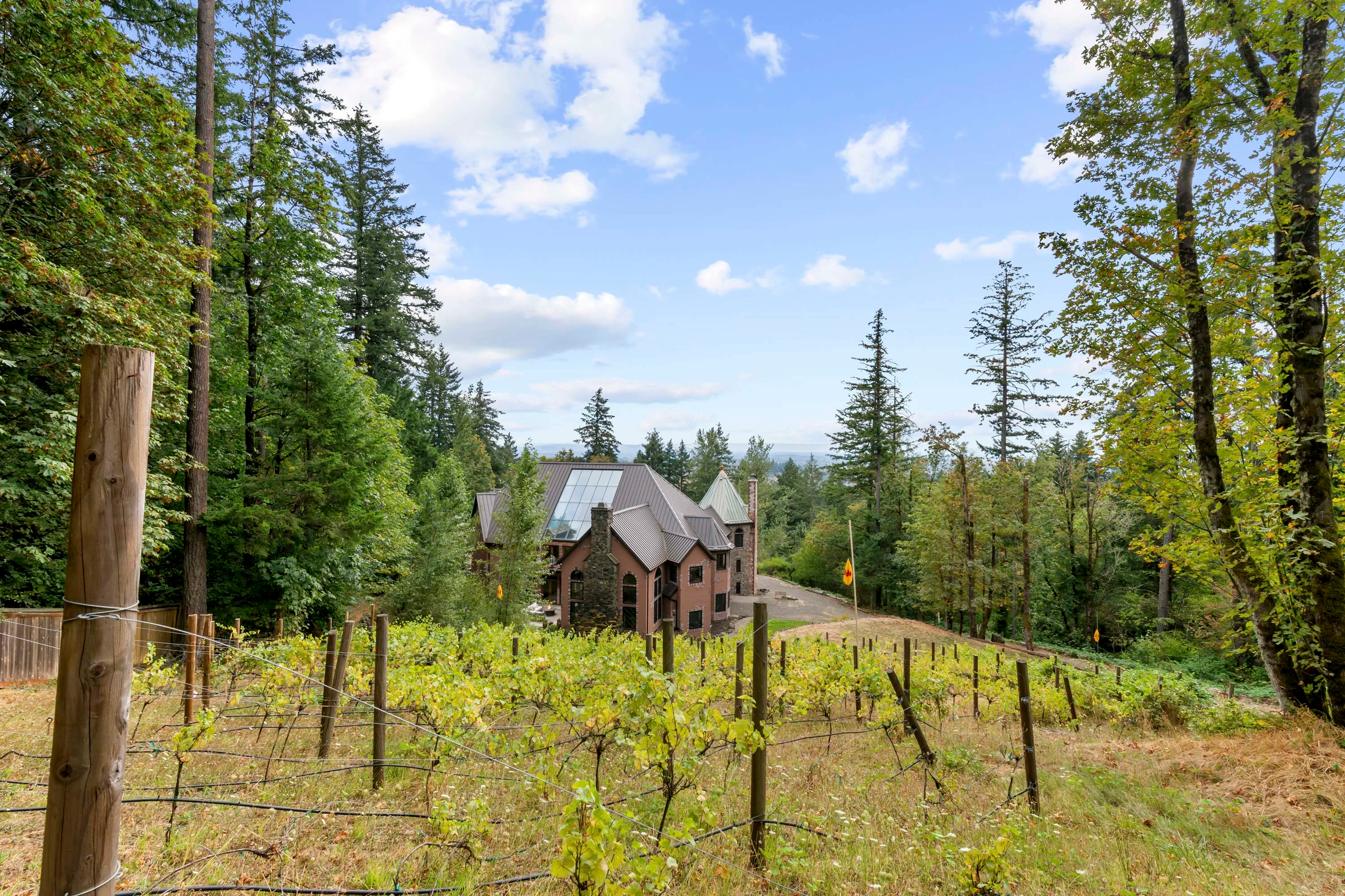 14125 NW Germantown Road, Portland, Oregon 97231 - 27_-_blackberryfullres-67_krbd3y